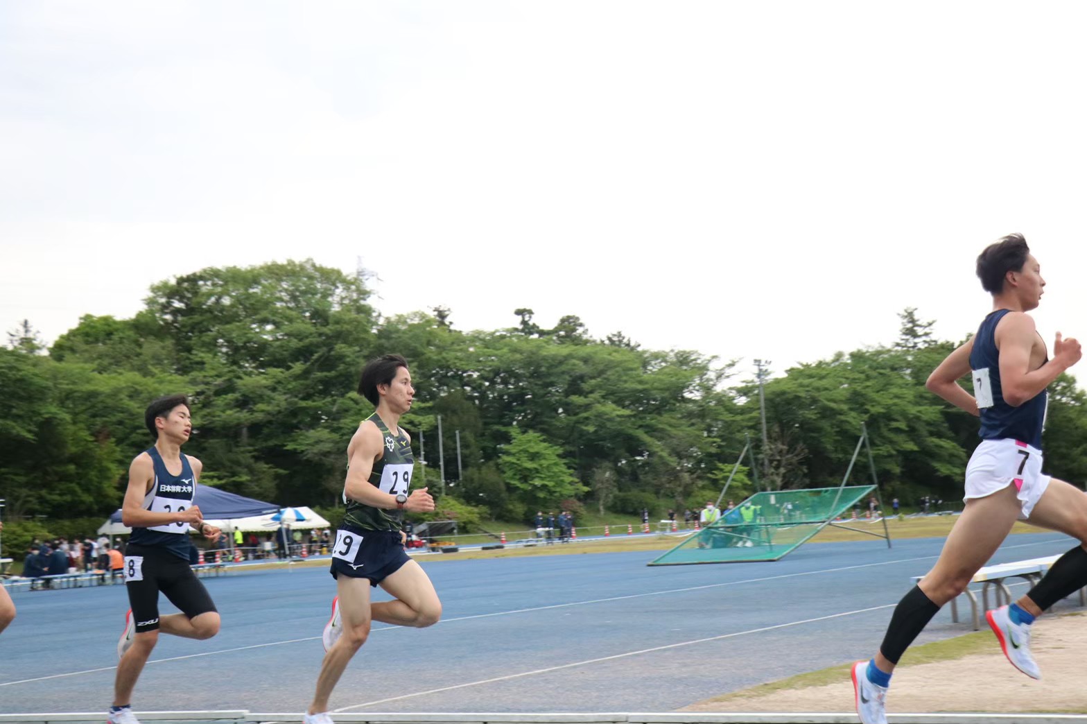 295nittai41