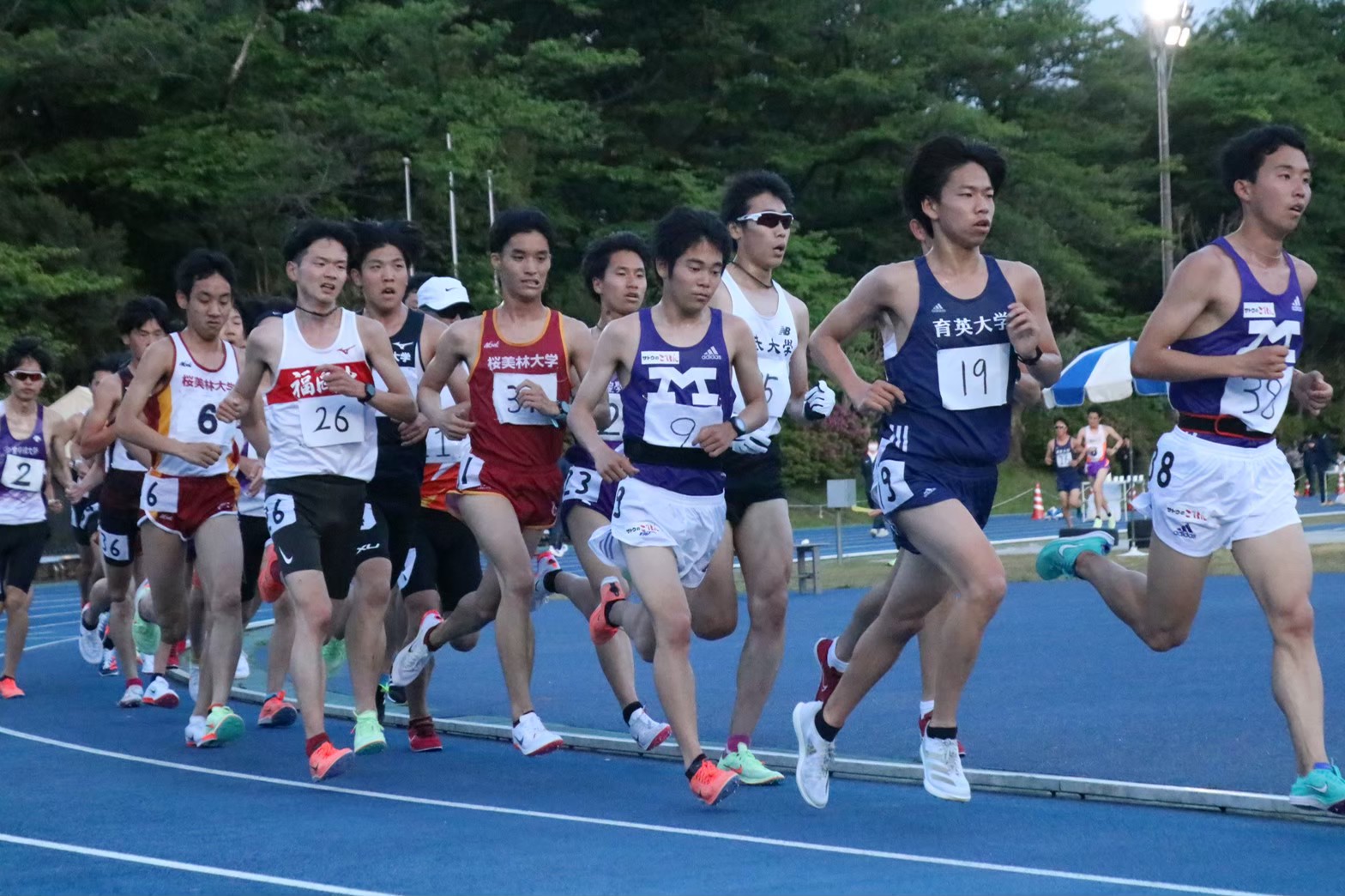 295nittai54
