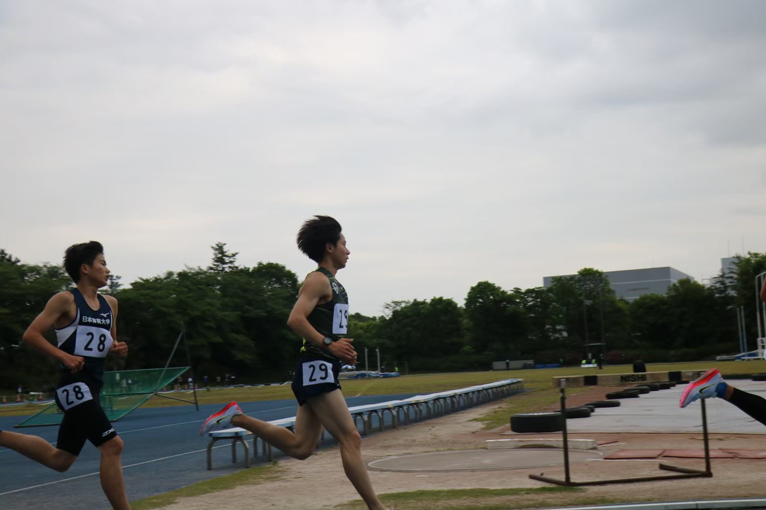 295nittai66