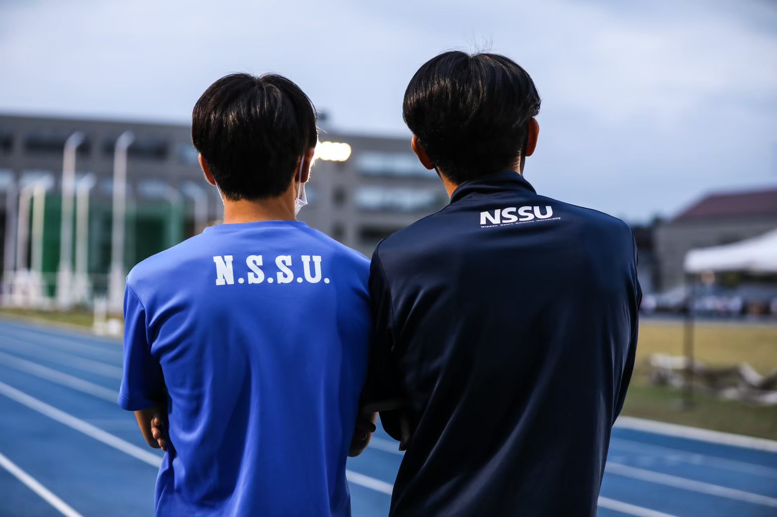 296nittai213