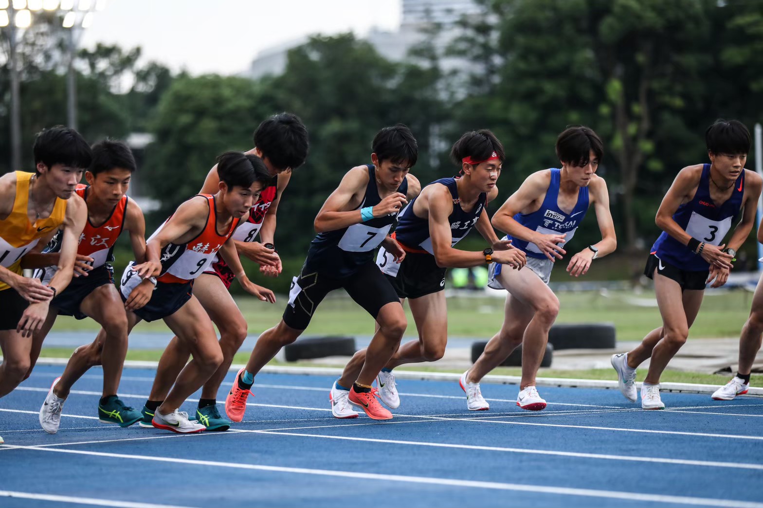 297nittai10