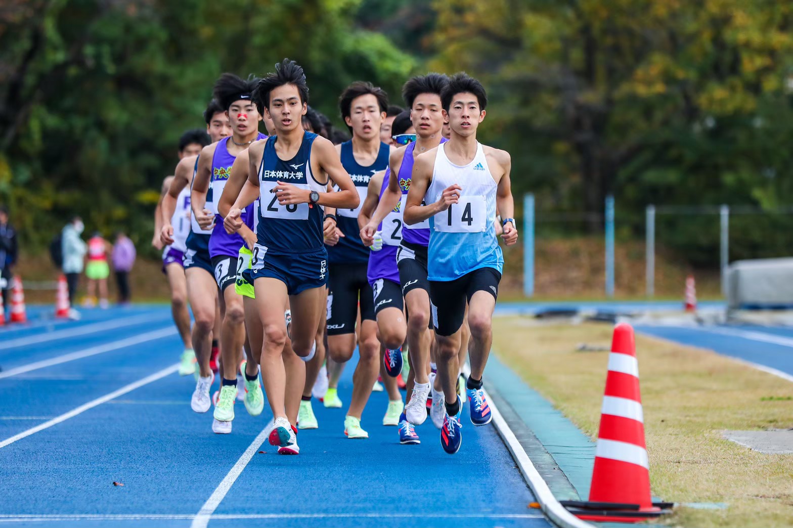 300nittai133