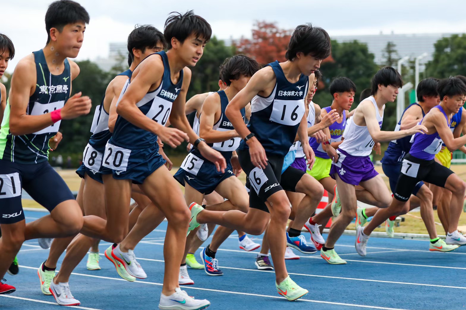 300nittai134