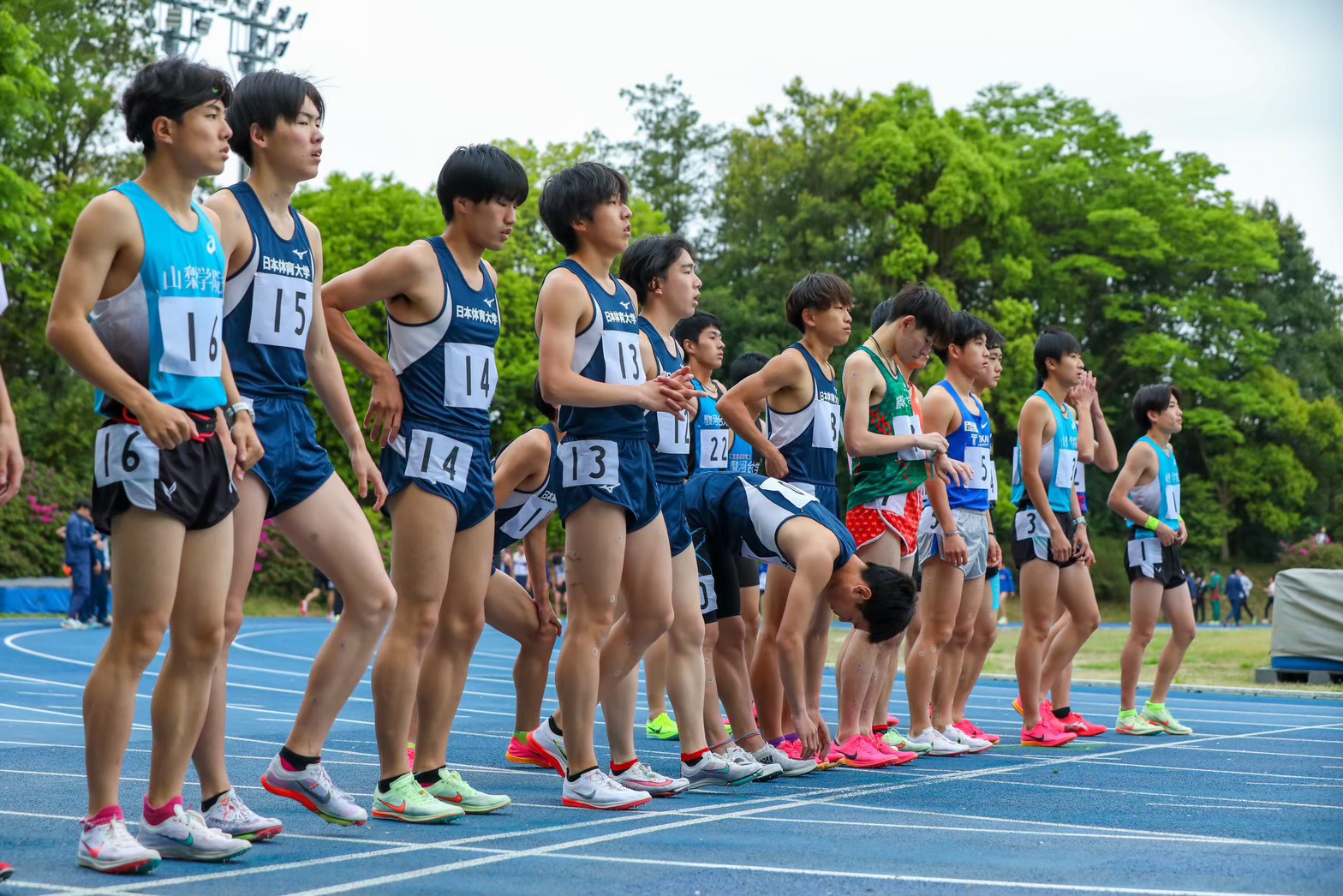 304nittai34