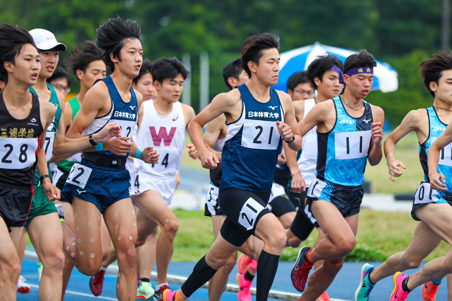 306nittai12