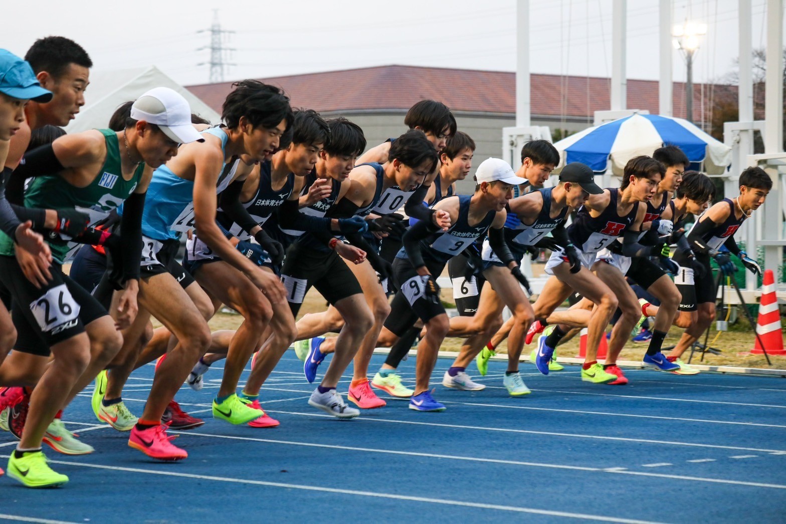 310nittai10