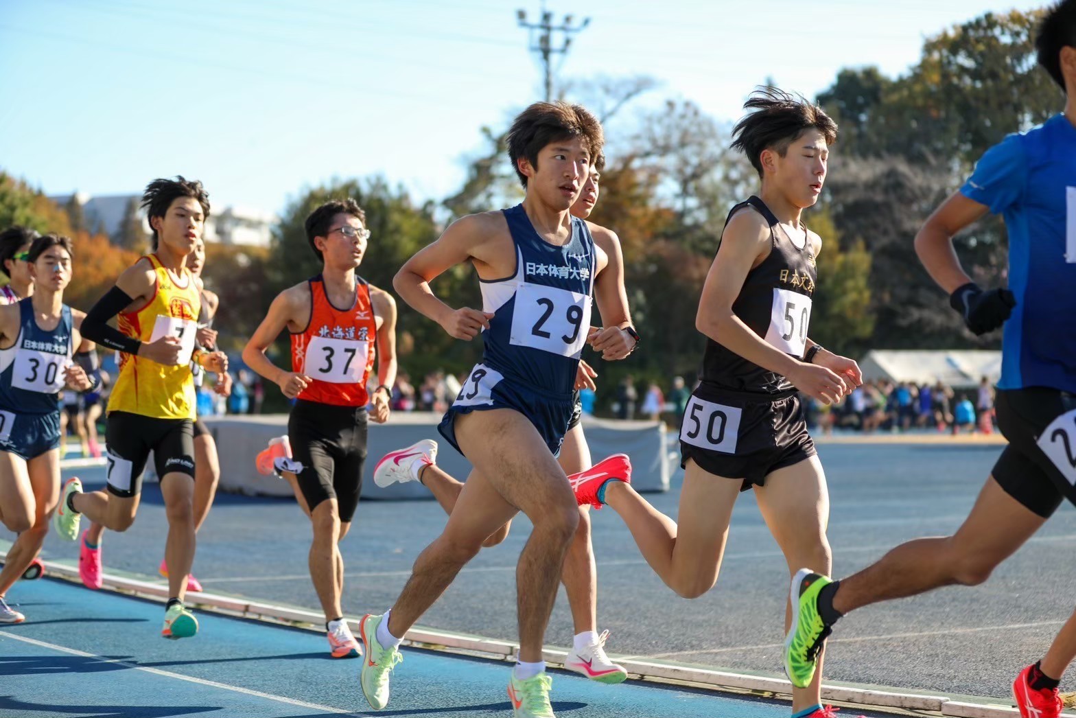 311nittai13