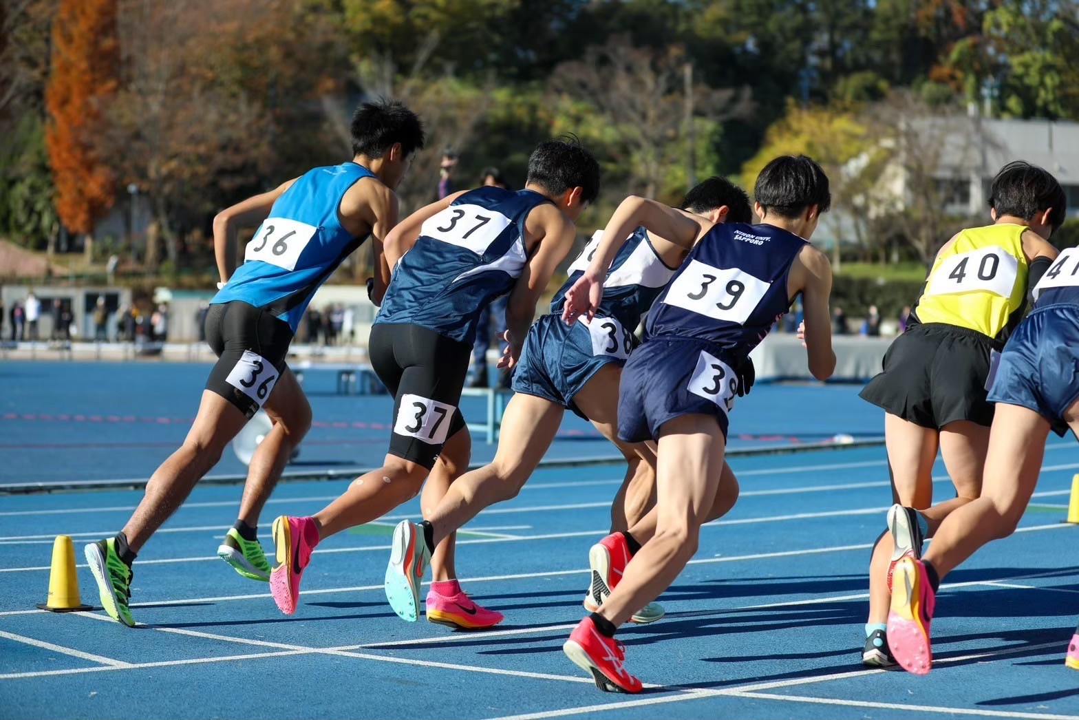311nittai34