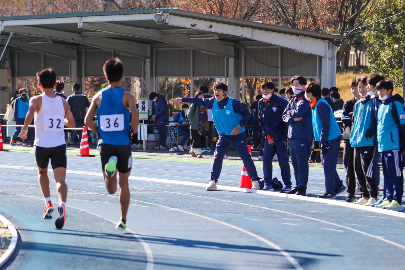 311nittai55