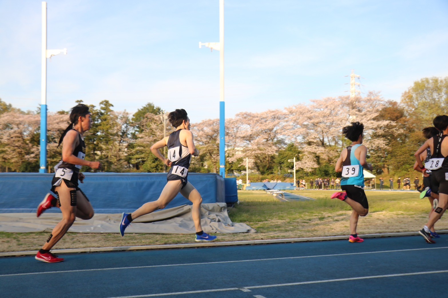 312nittai113