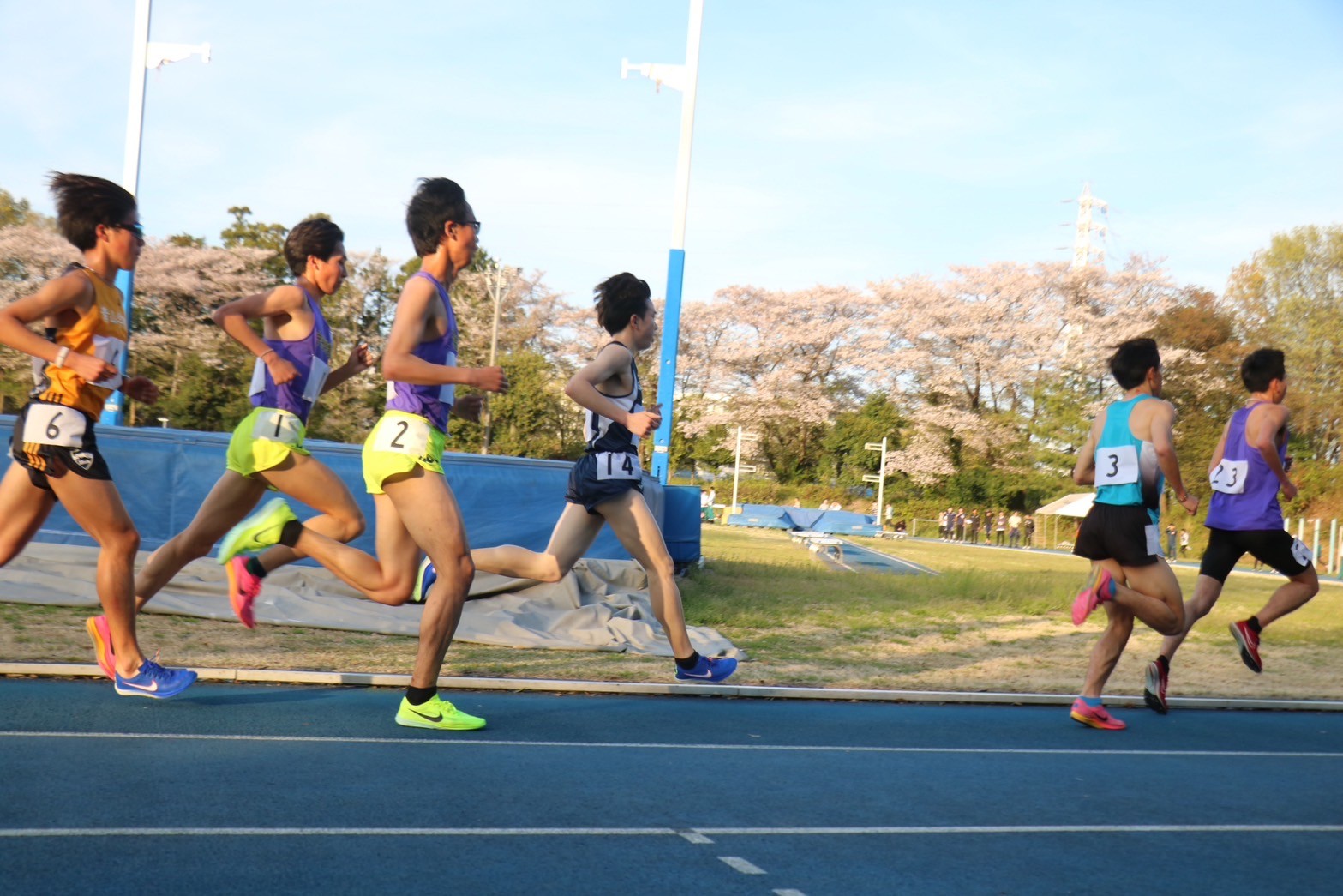 312nittai116