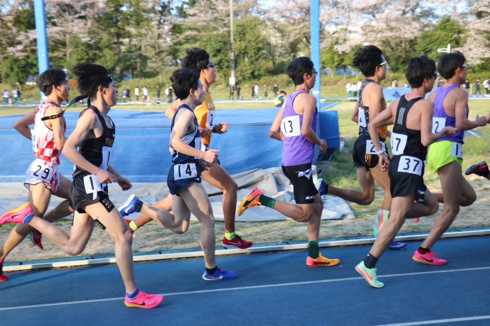 312nittai129