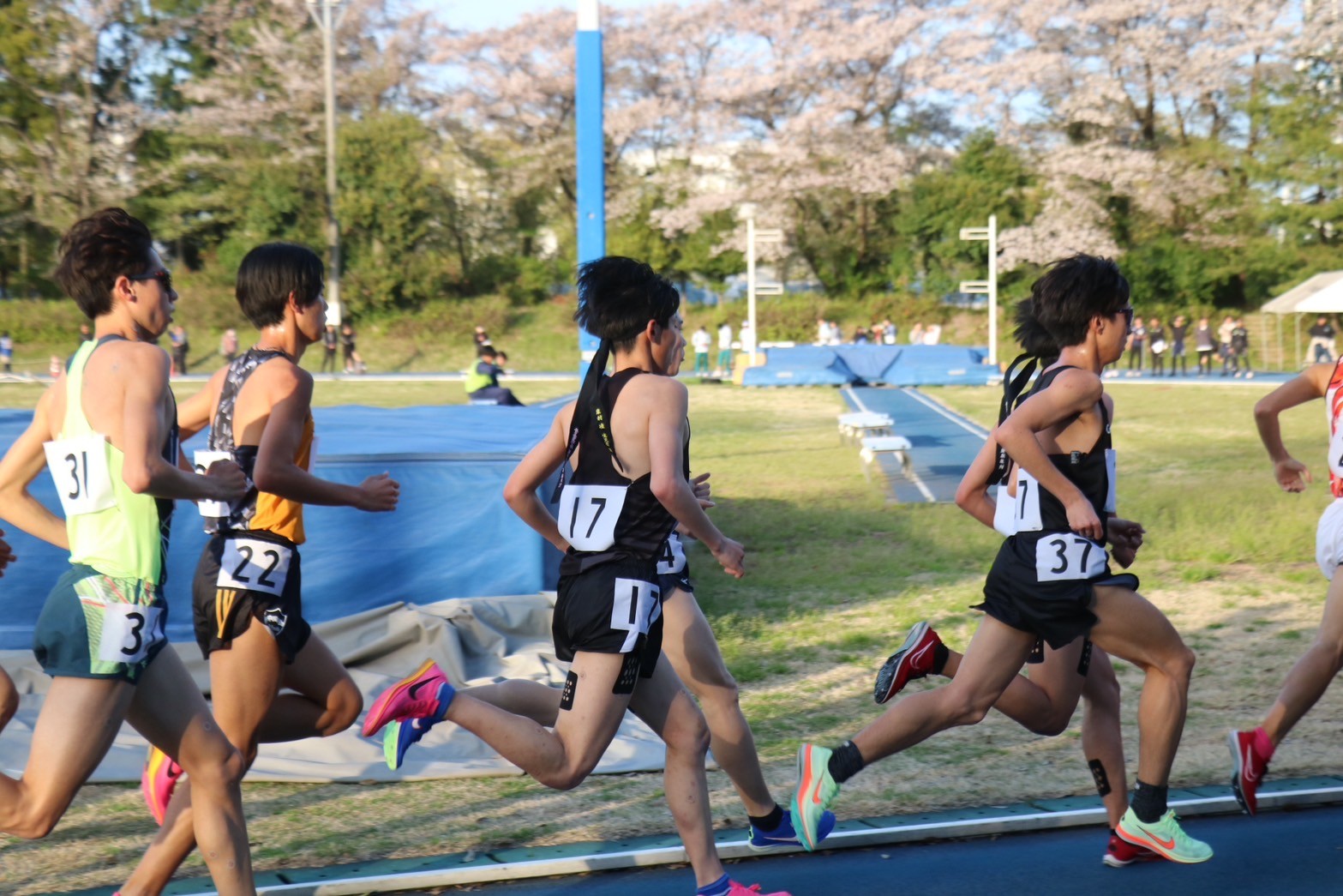 312nittai133