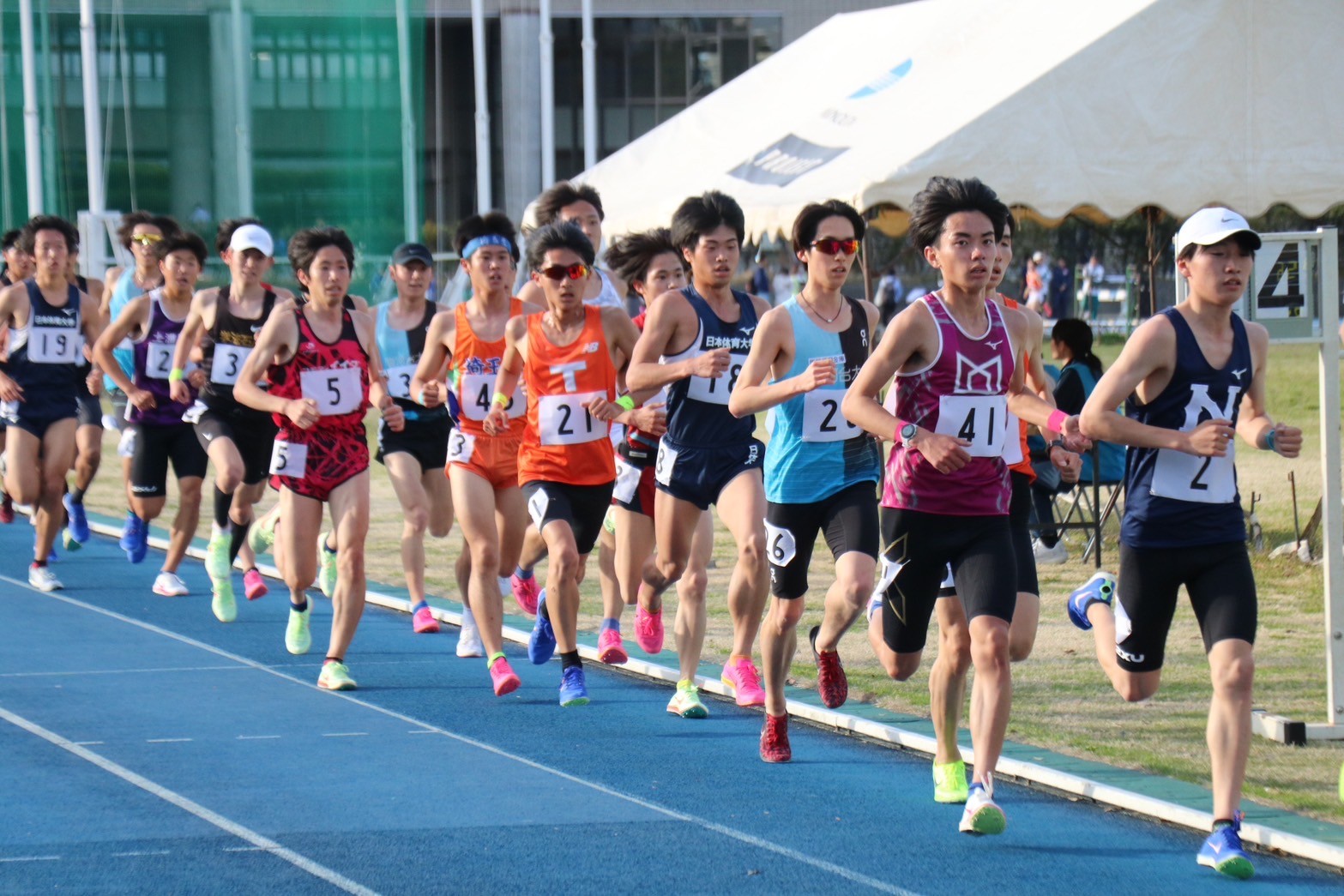 312nittai165
