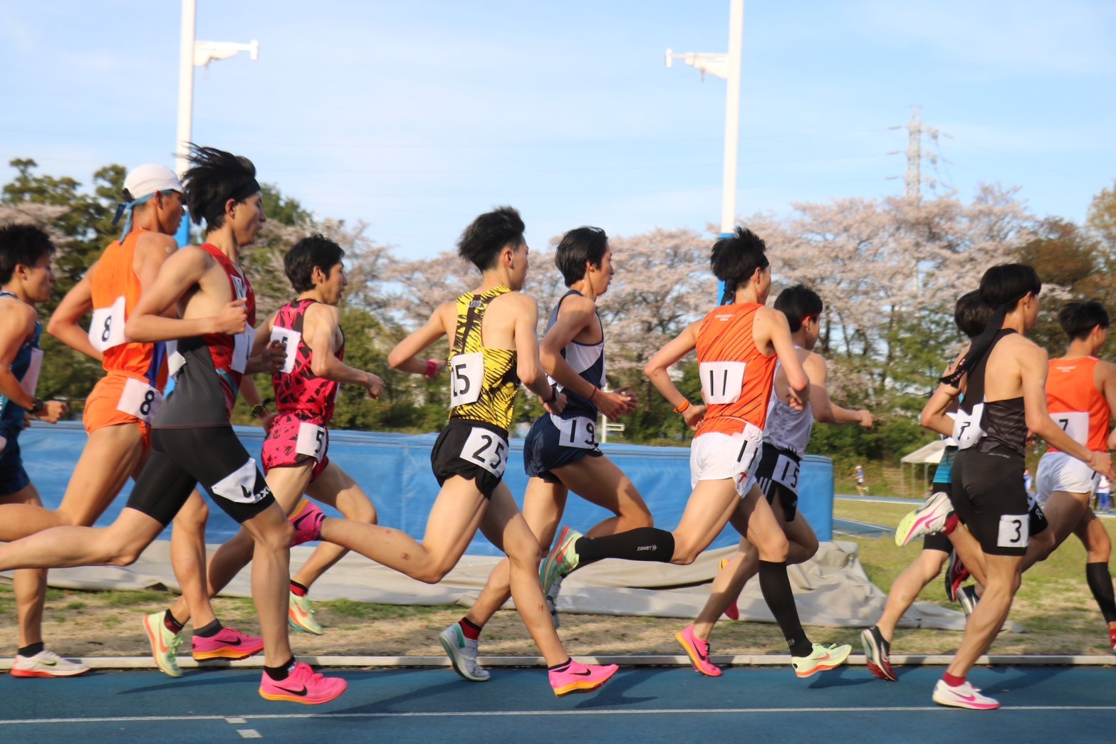312nittai173