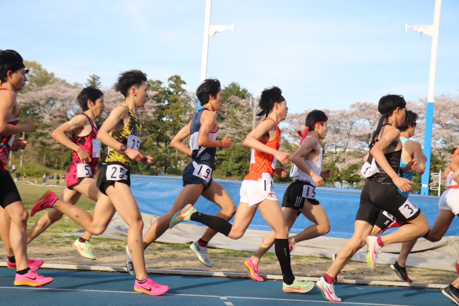 312nittai174
