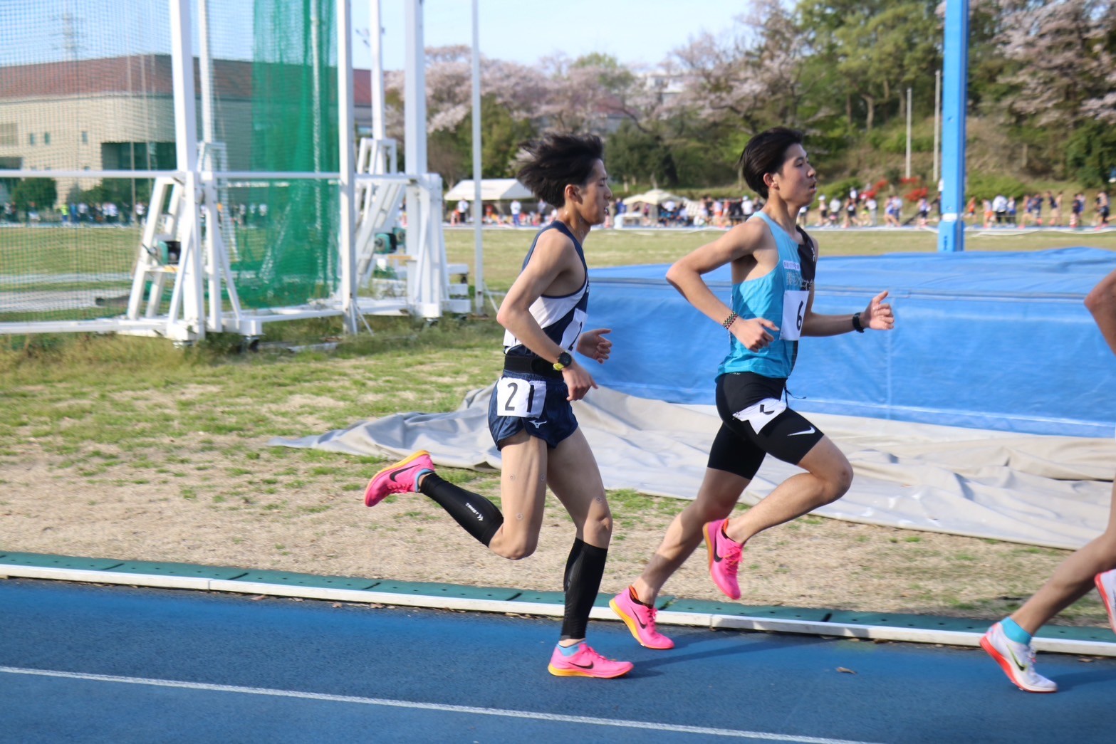 312nittai208
