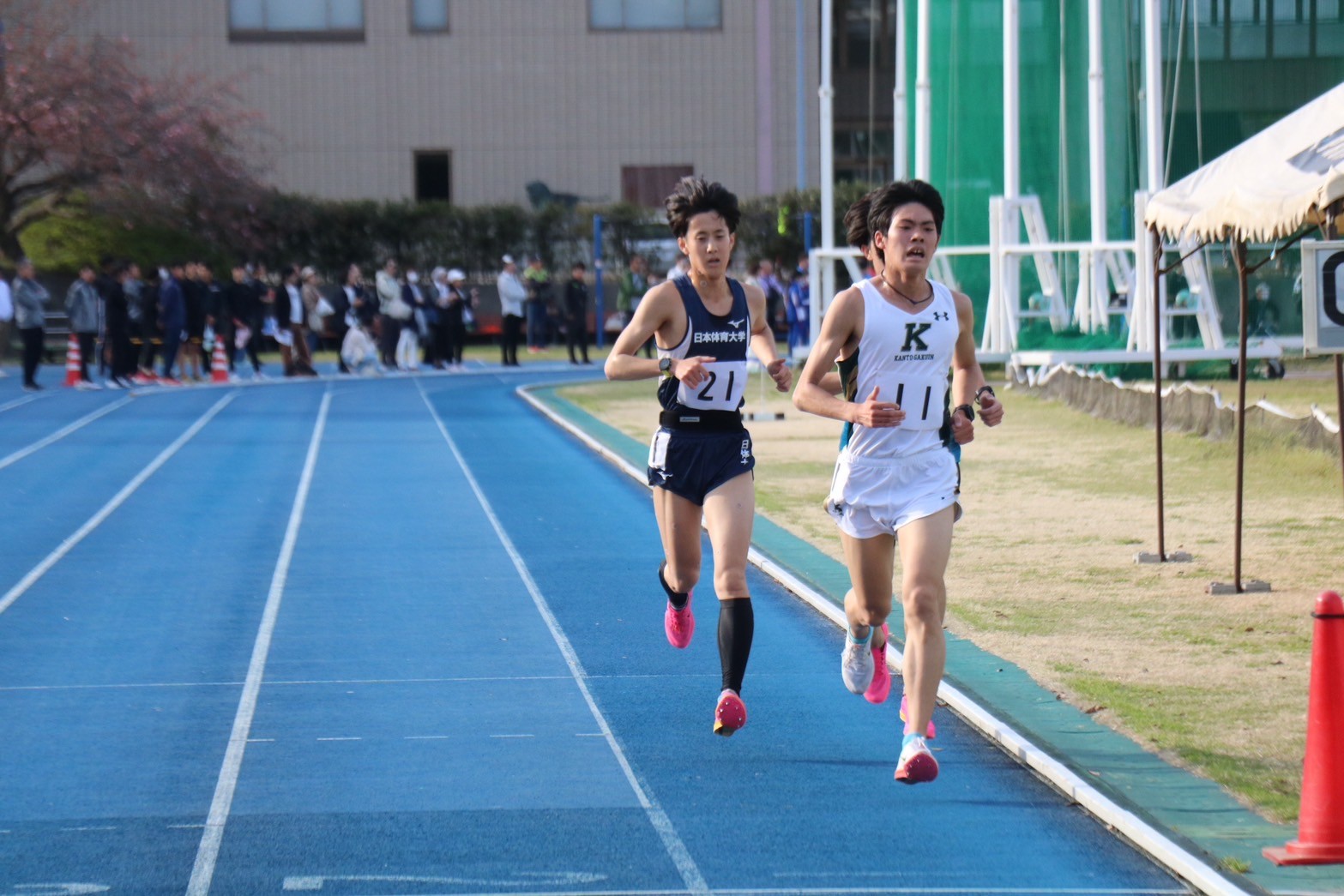 312nittai210