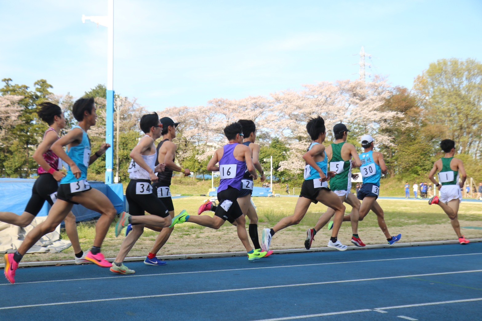 312nittai232