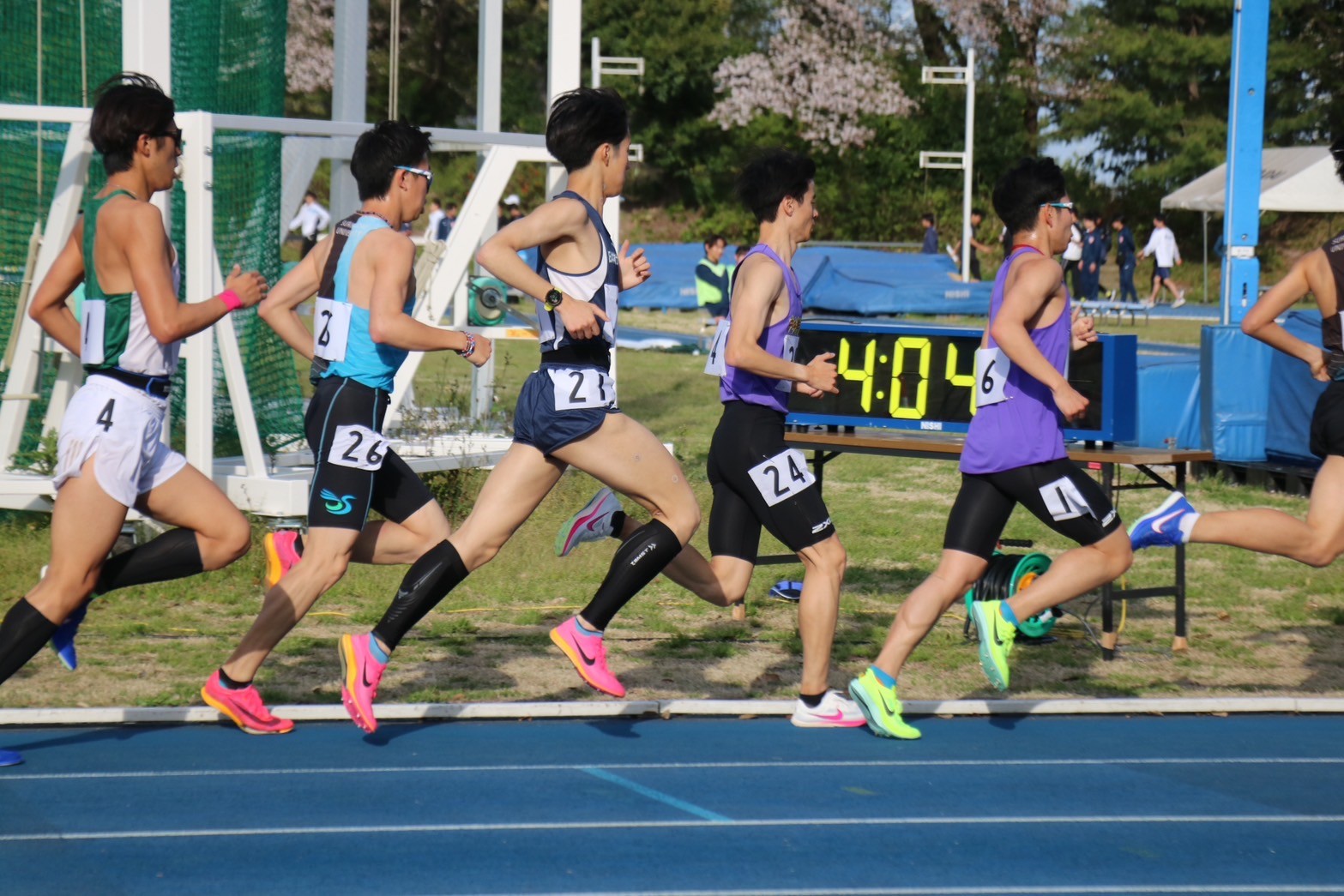312nittai245