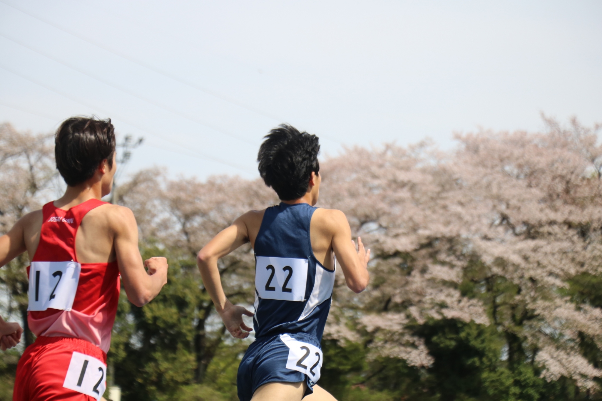 312nittai281