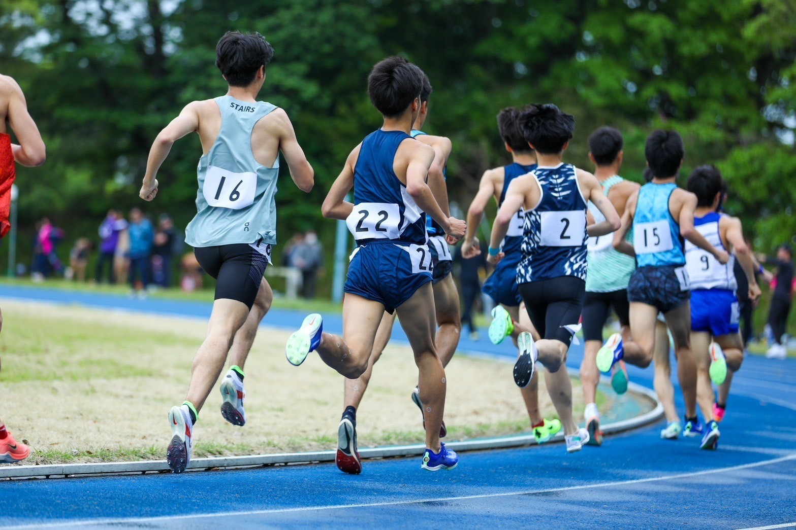 313nittai39