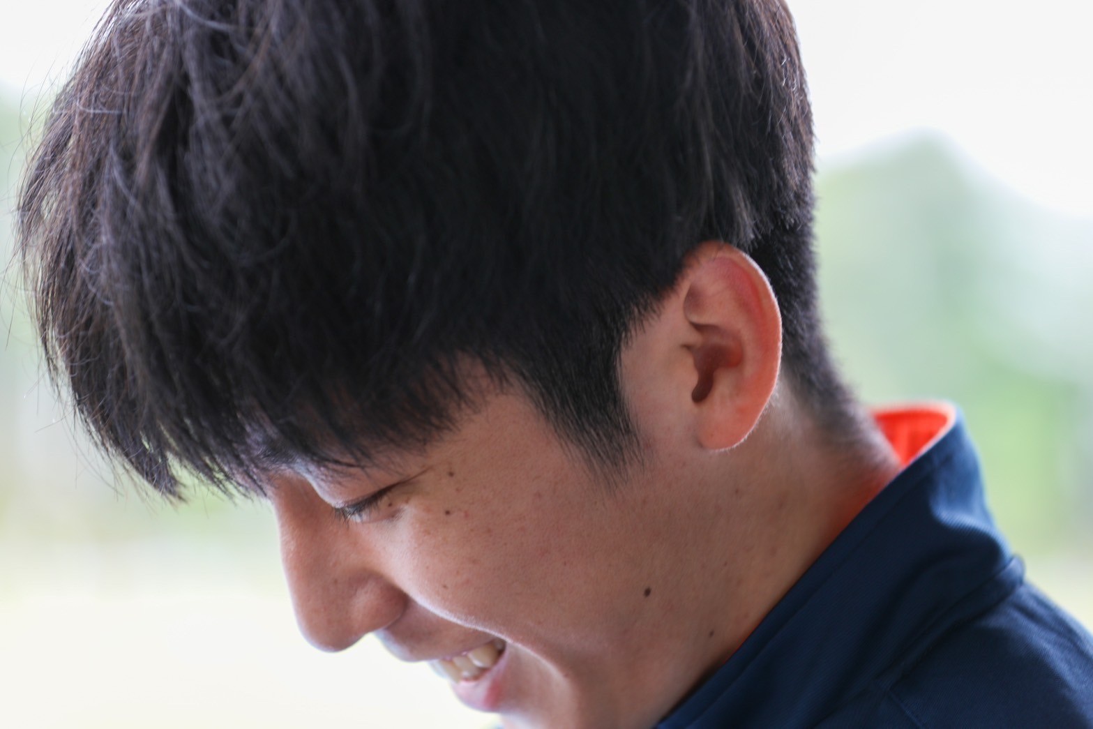 313nittai7