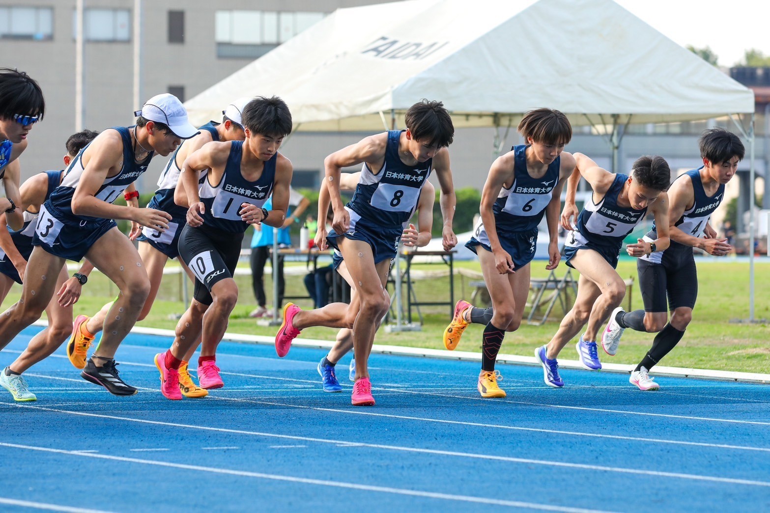 314nittai113