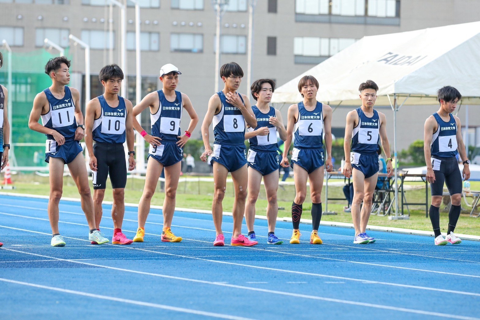 314nittai114
