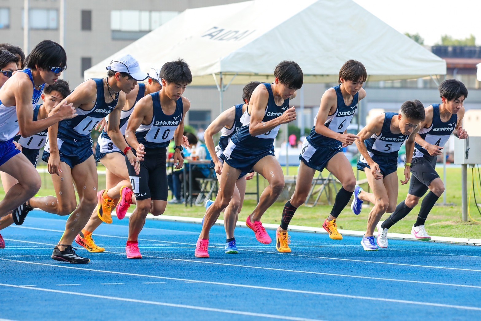 314nittai30