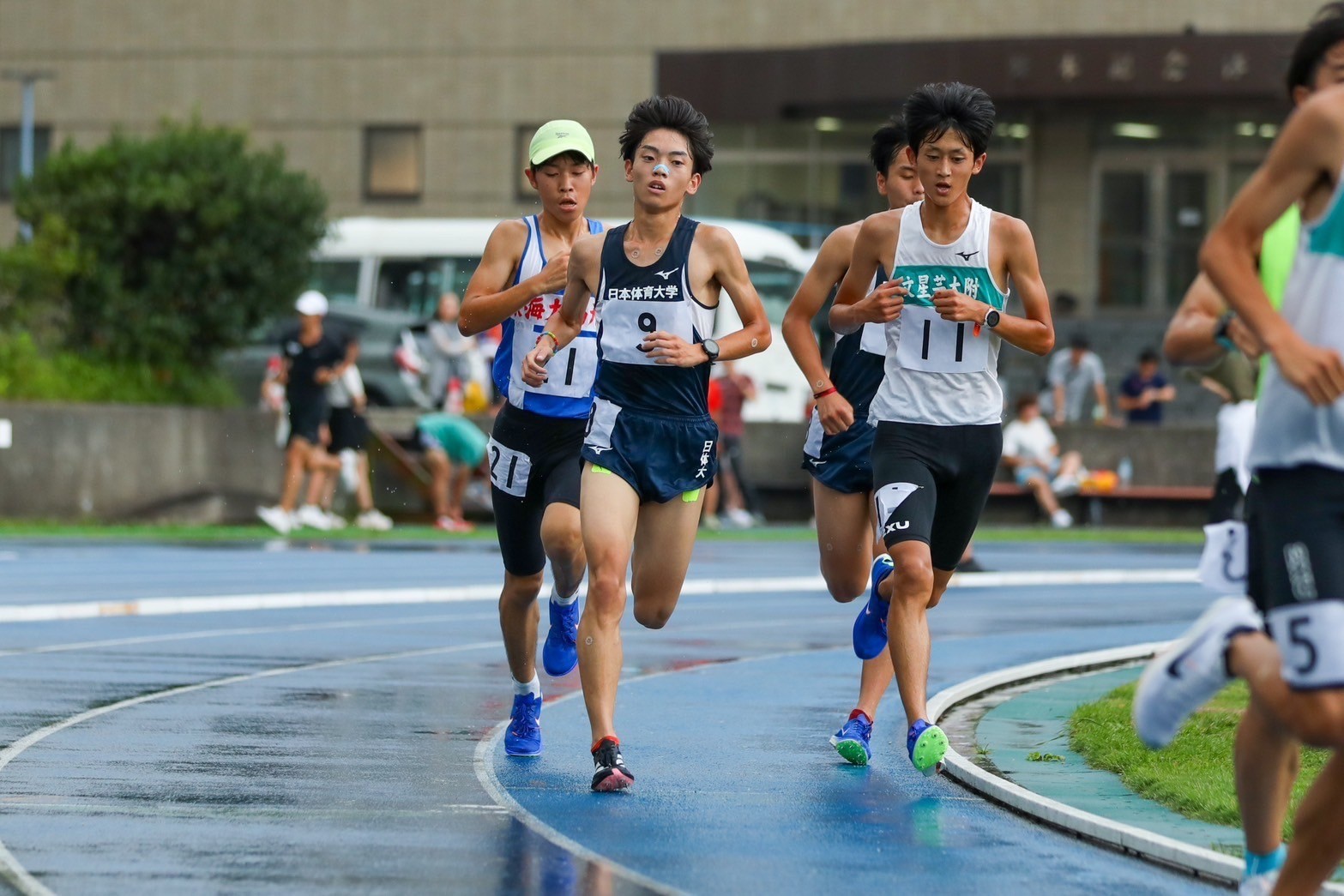 315nittai31