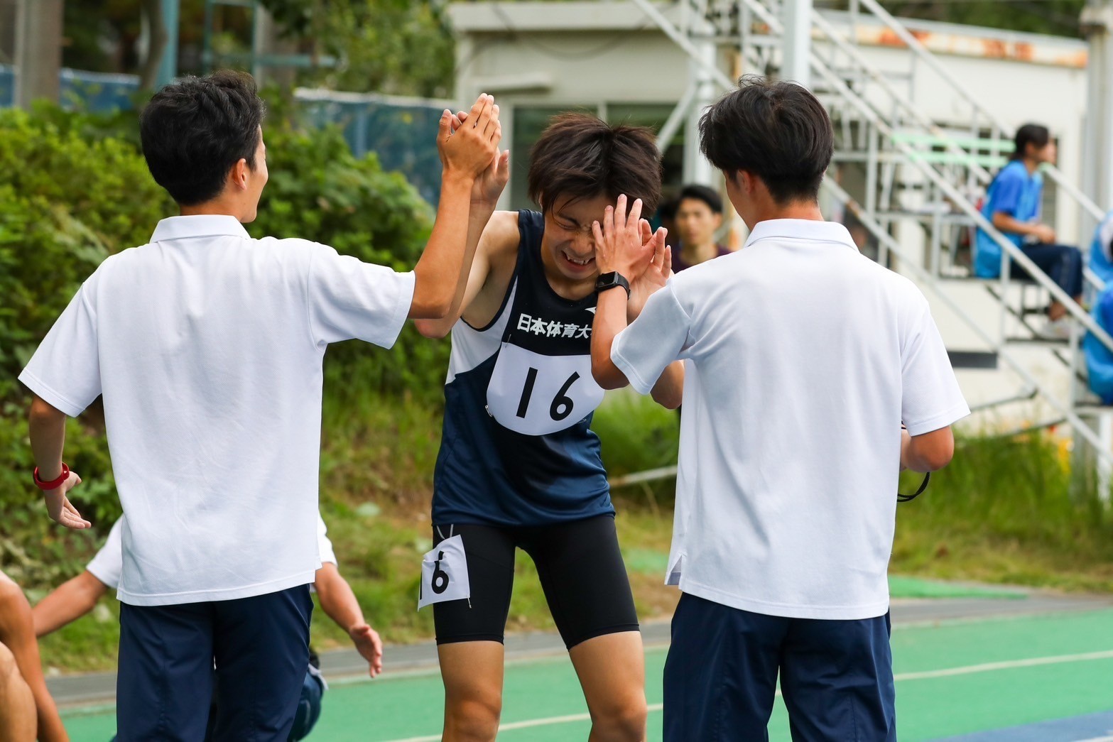 316nittai34