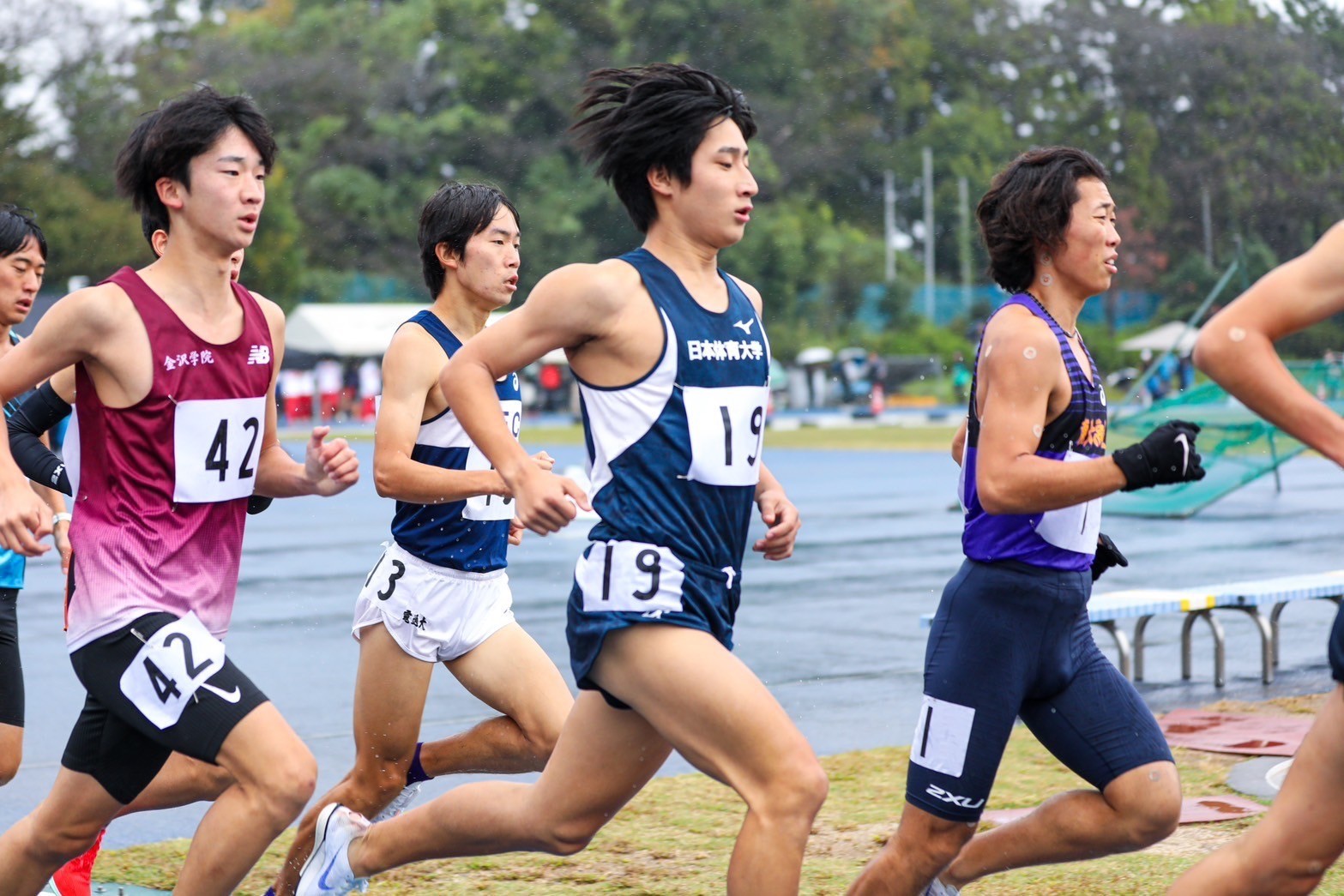 317nittai137