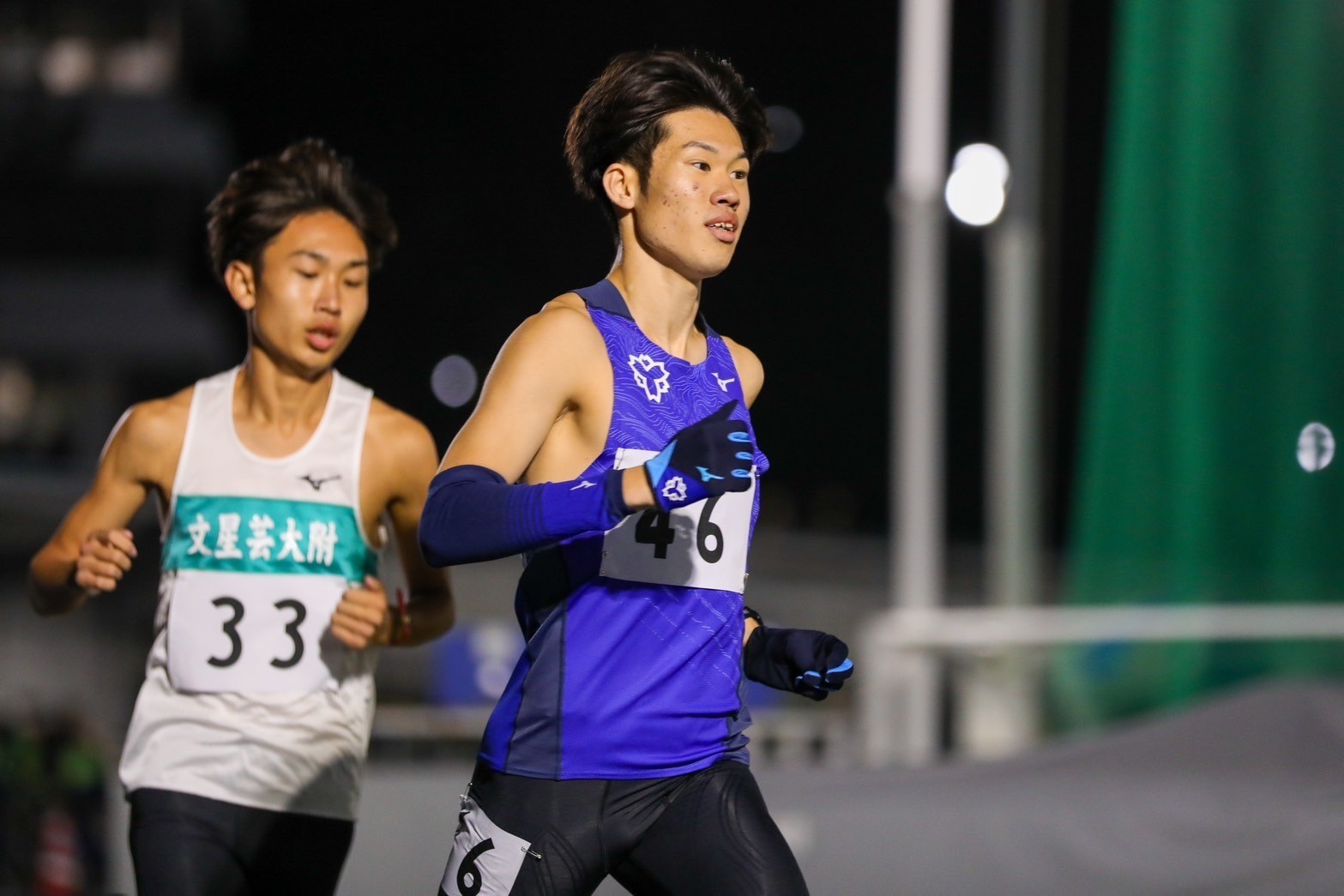 317nittai36