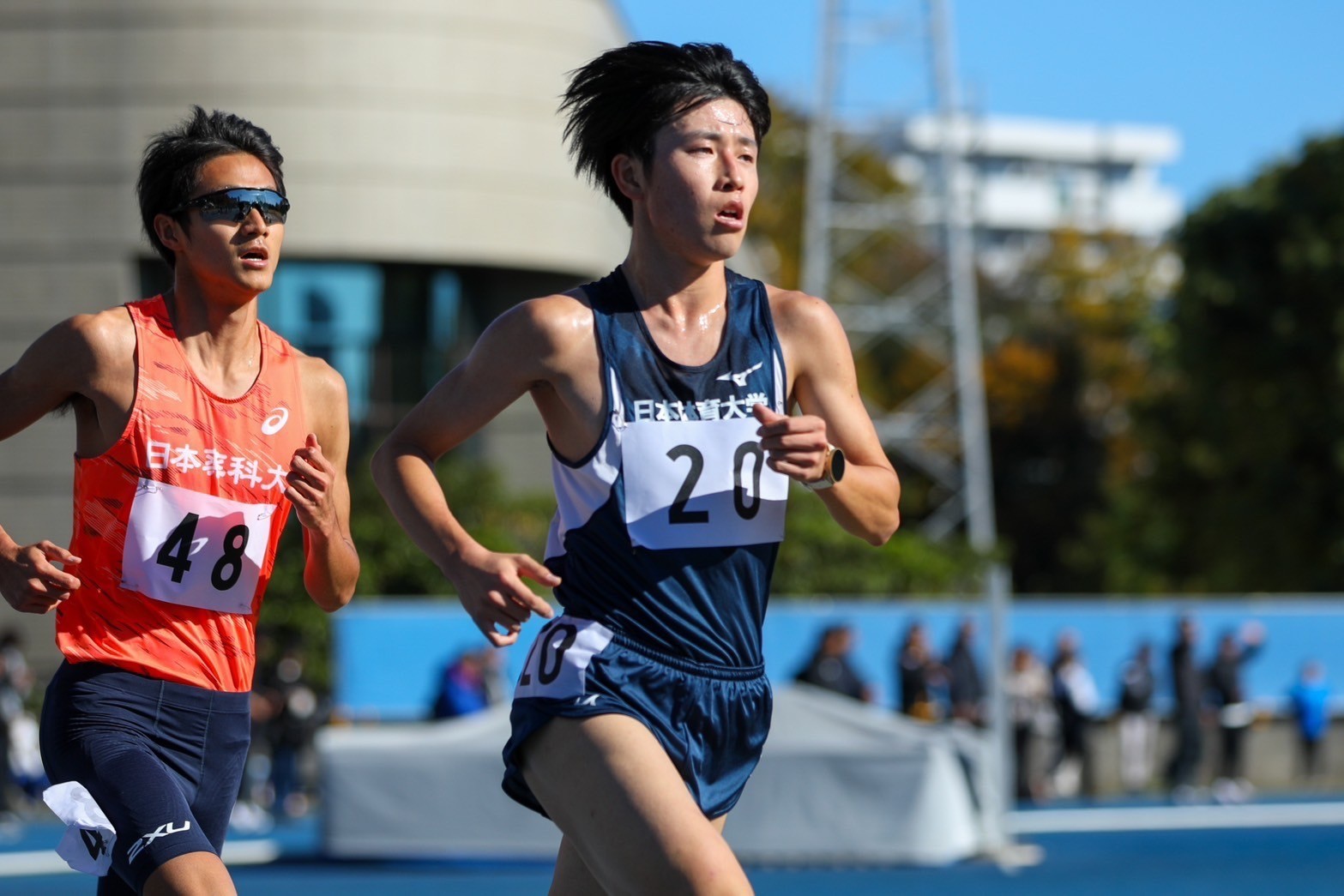 318nittai144