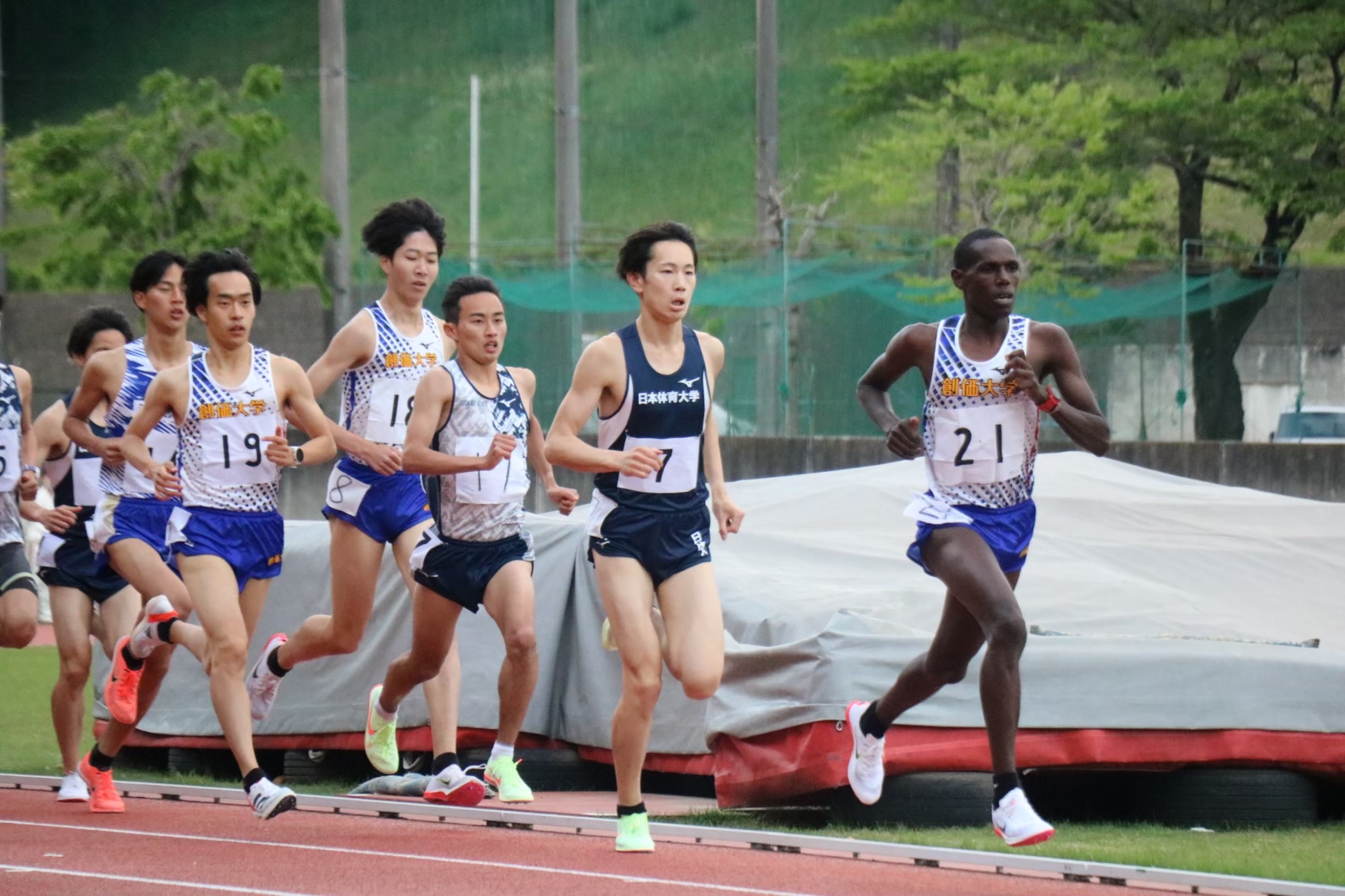 78hosei141