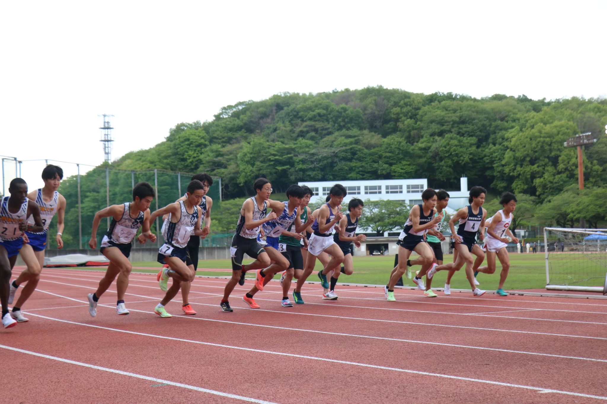 78hosei151