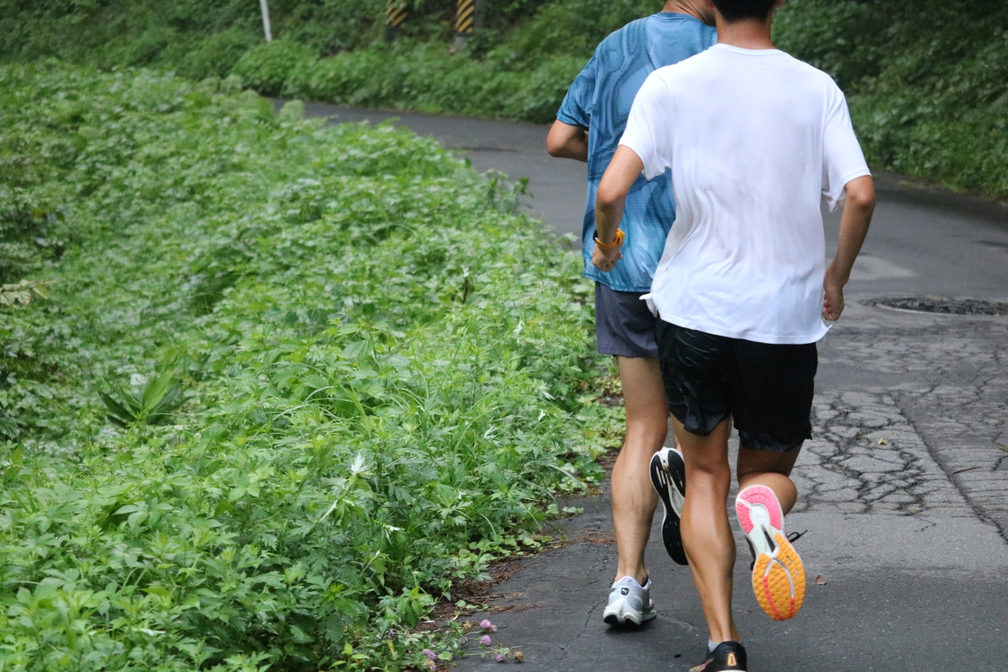 LINE_ALBUM_野尻湖❷_240813_348