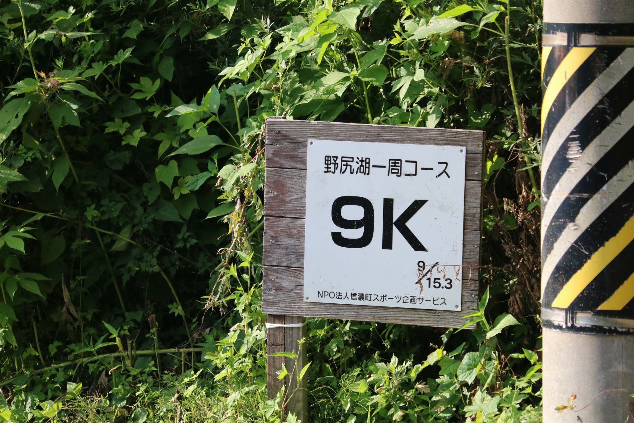LINE_ALBUM_野尻湖❸_240813_267