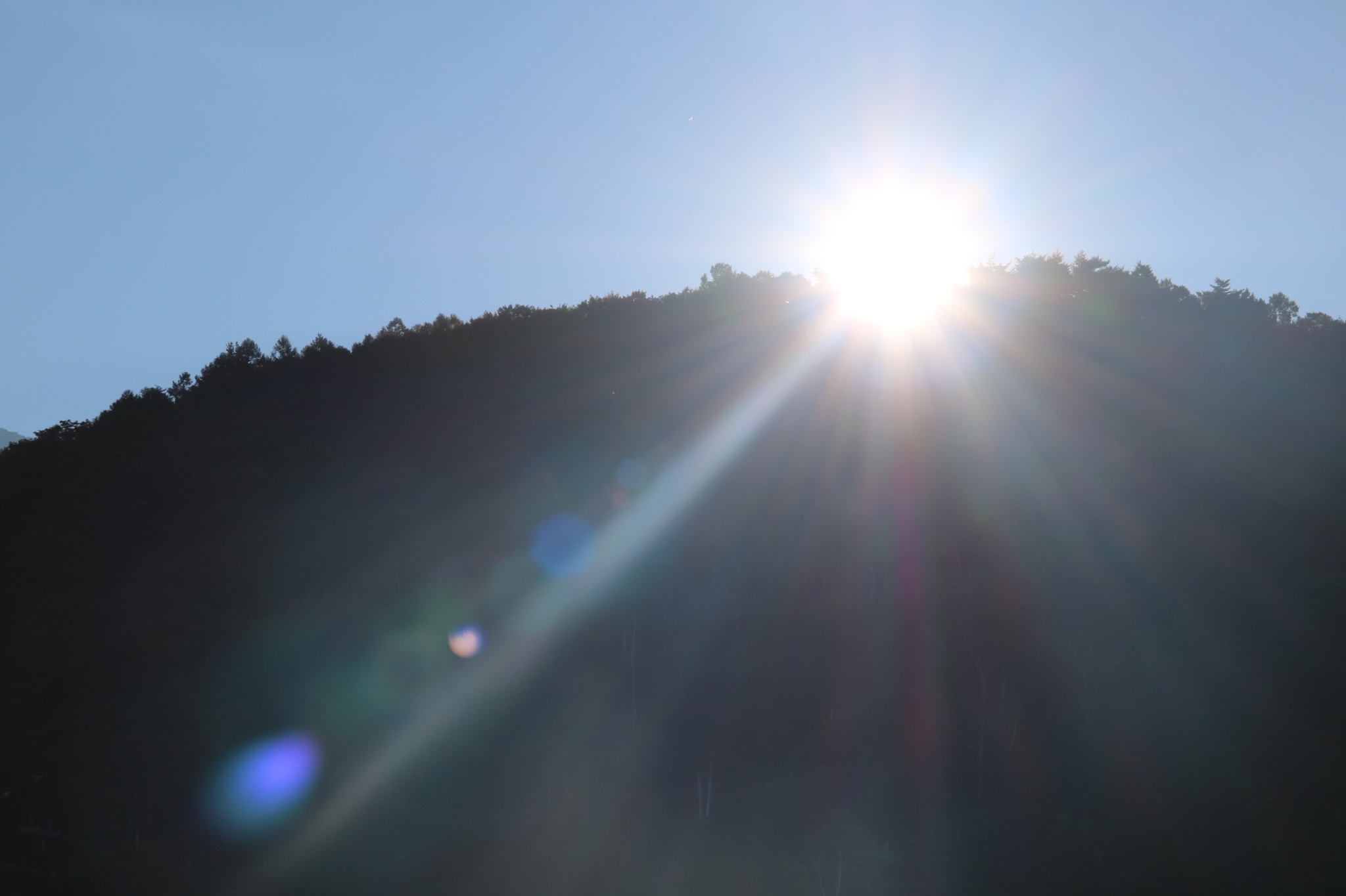 LINE_ALBUM_野尻湖合宿_240813_404