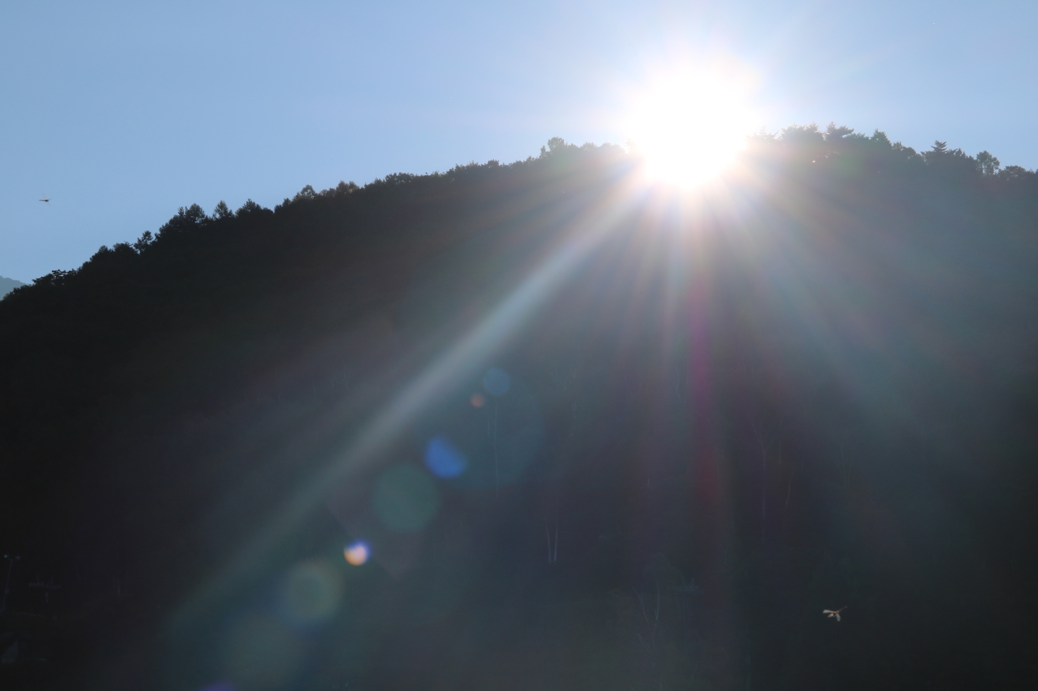 LINE_ALBUM_野尻湖合宿_240813_405