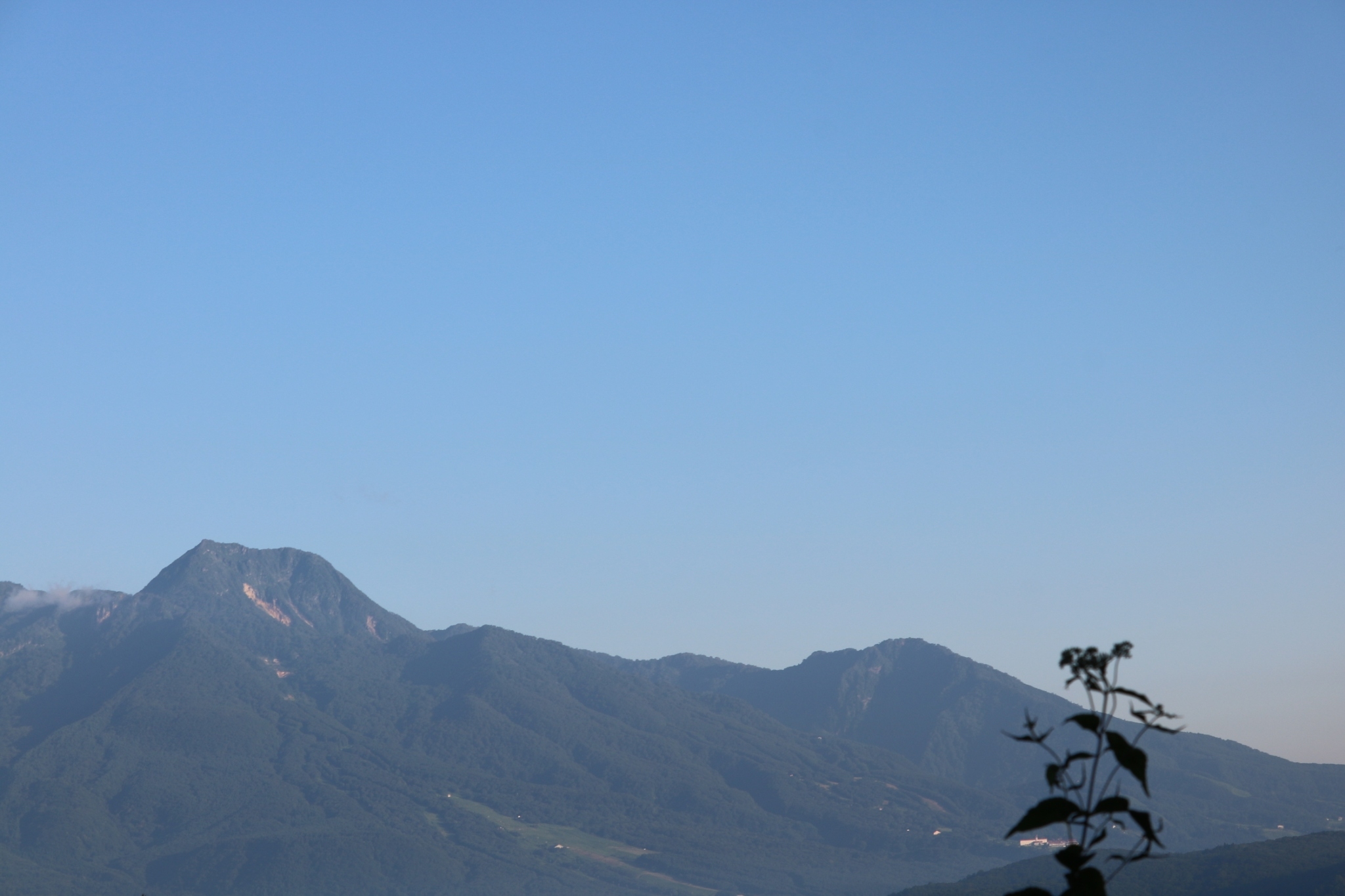 LINE_ALBUM_野尻湖合宿_240813_428