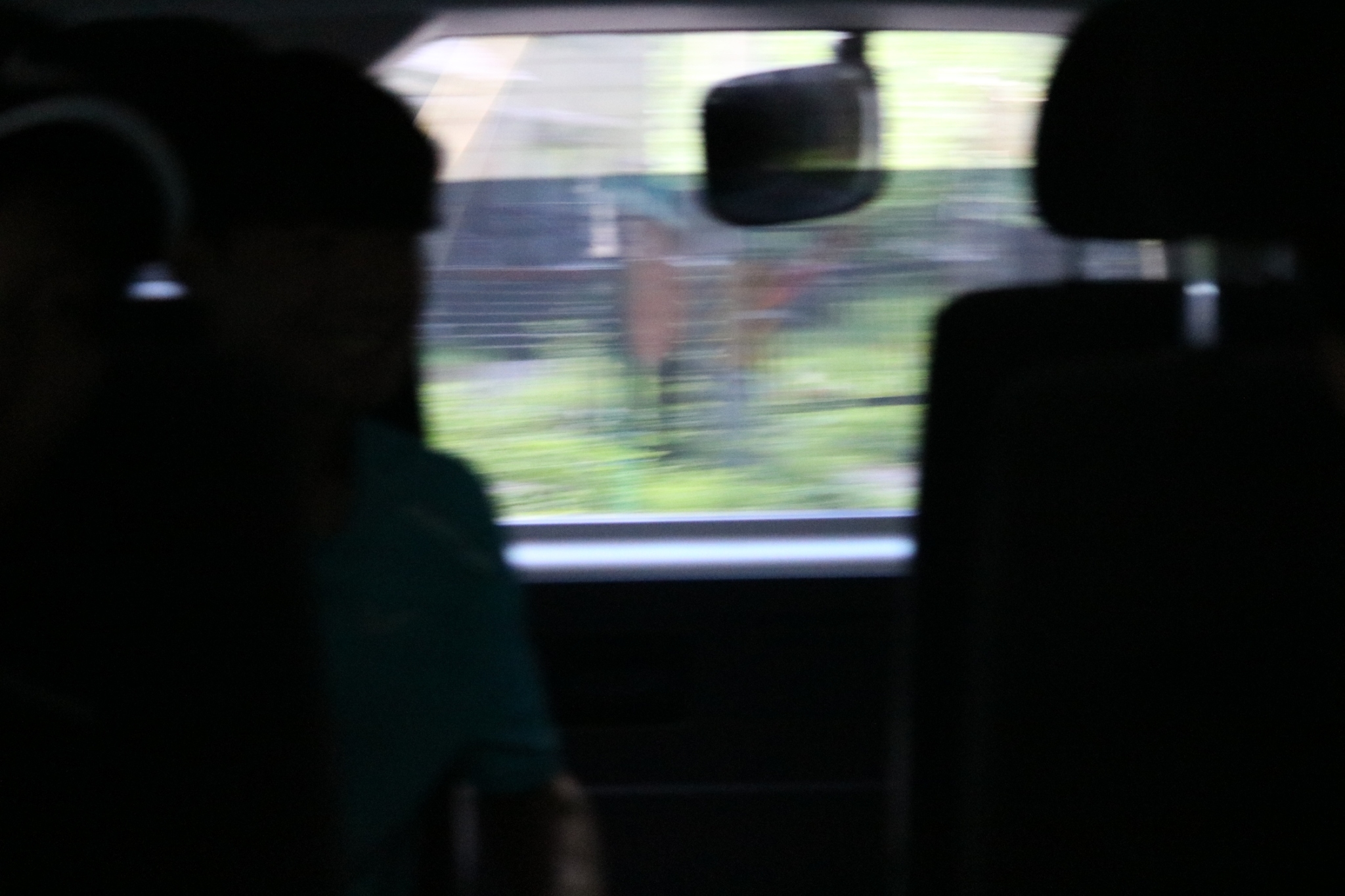 LINE_ALBUM_野尻湖合宿_240813_444