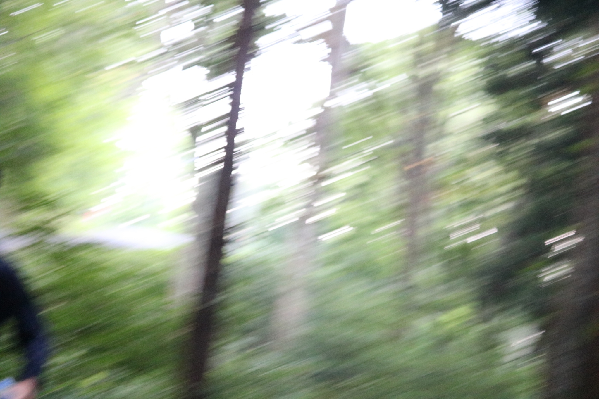 LINE_ALBUM_野尻湖合宿_240813_458