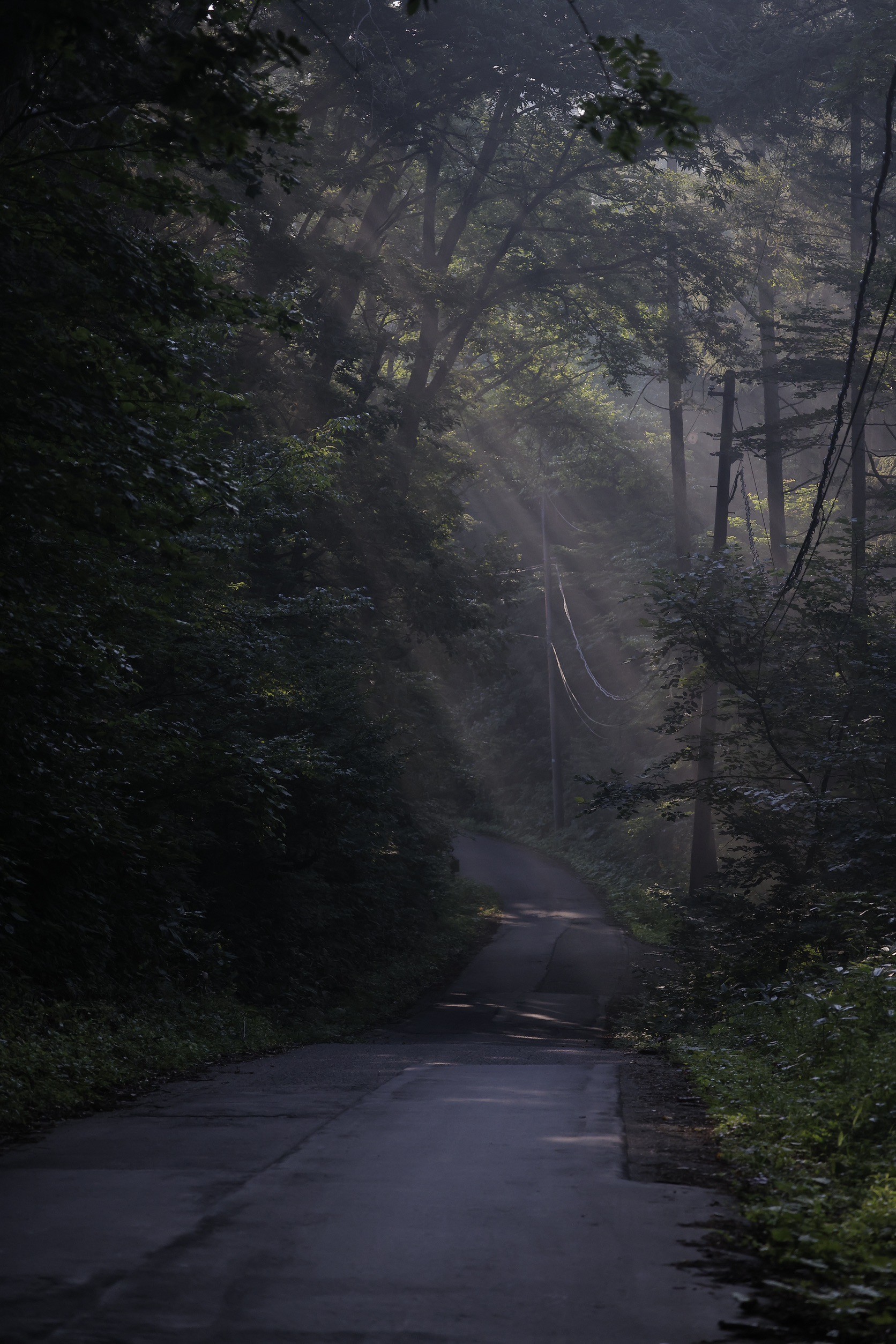 LINE_ALBUM_野尻湖合宿_240813_661