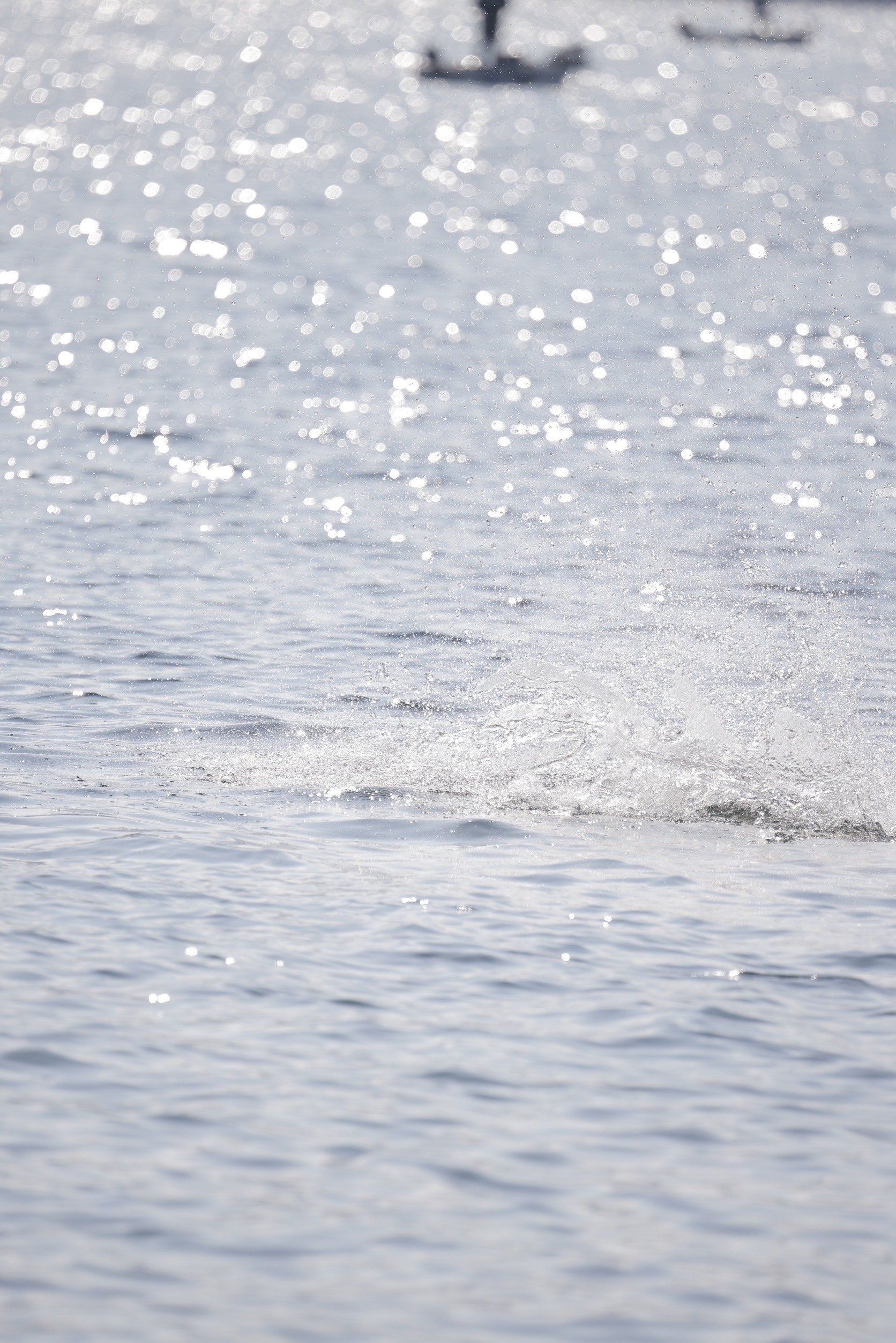 LINE_ALBUM_野尻湖合宿_240813_834