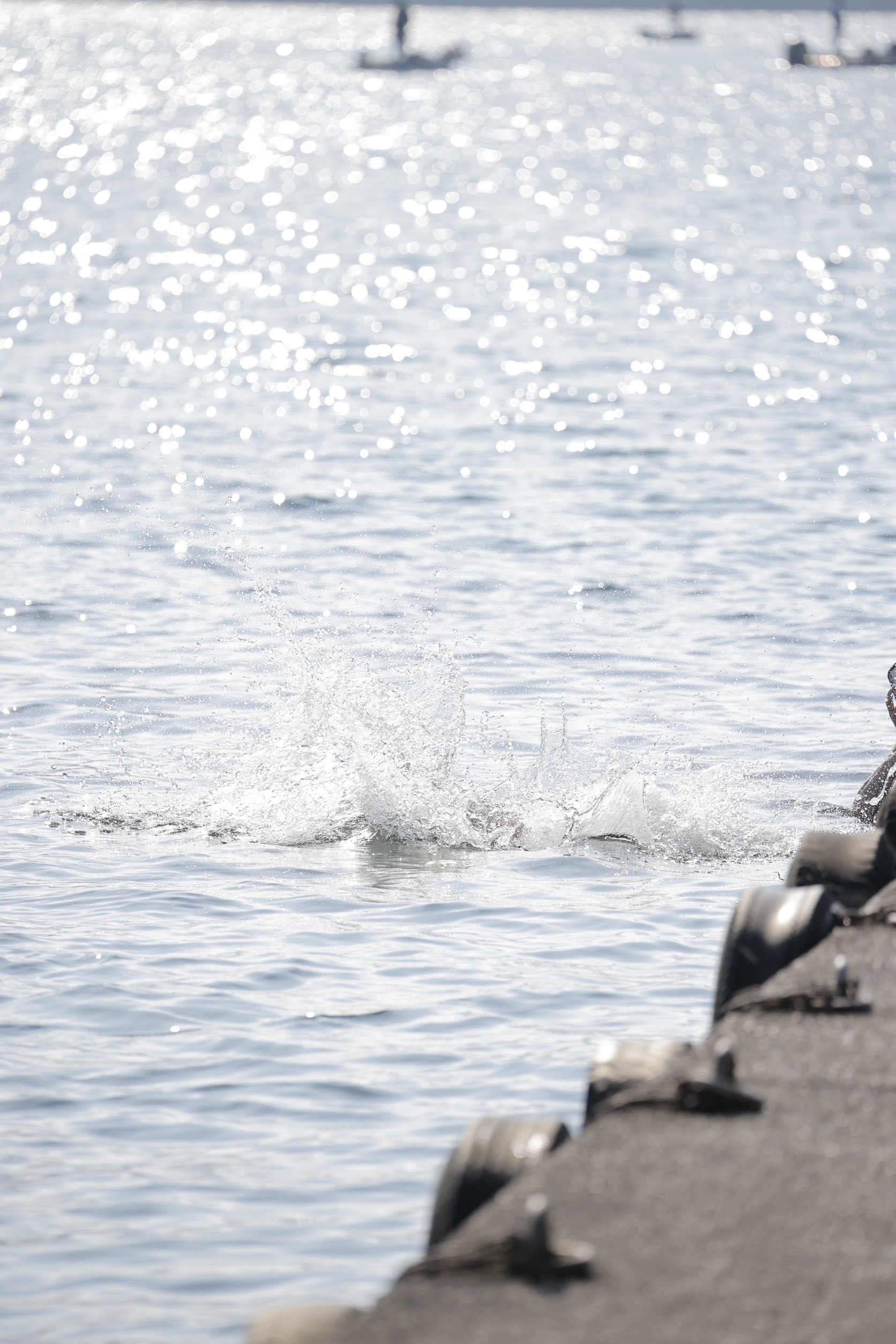 LINE_ALBUM_野尻湖合宿_240813_845