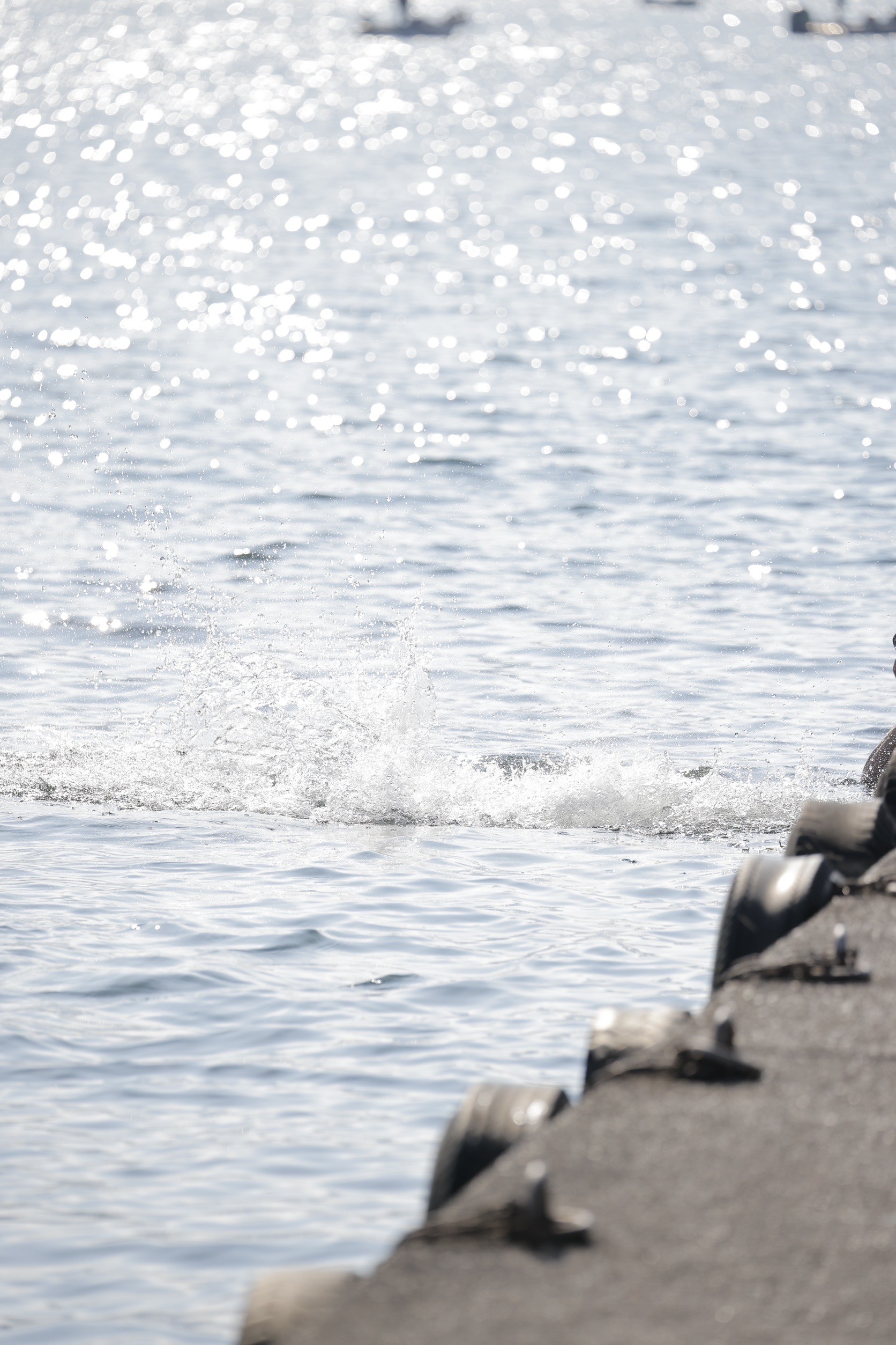 LINE_ALBUM_野尻湖合宿_240813_846