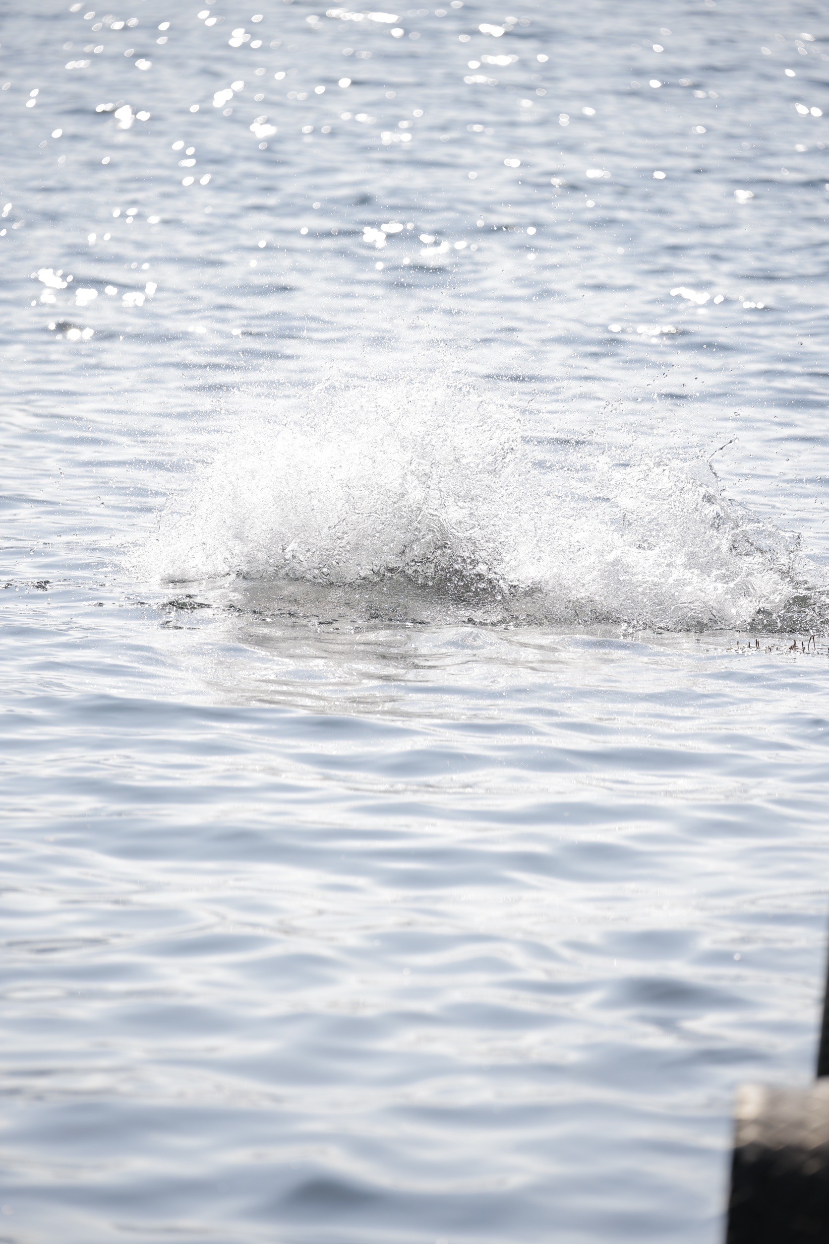 LINE_ALBUM_野尻湖合宿_240813_866