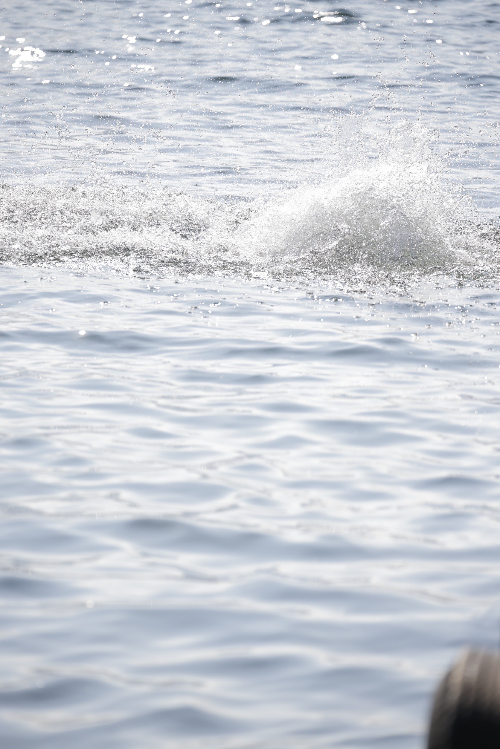 LINE_ALBUM_野尻湖合宿_240813_869
